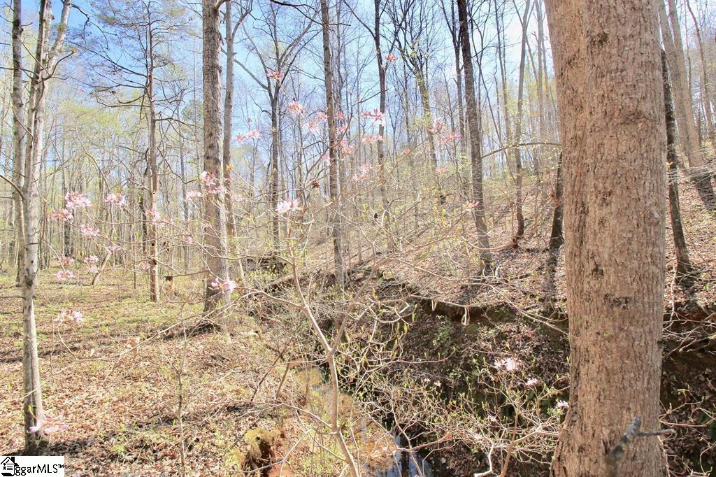 390 Old Mill Road Chesnee, SC 29323