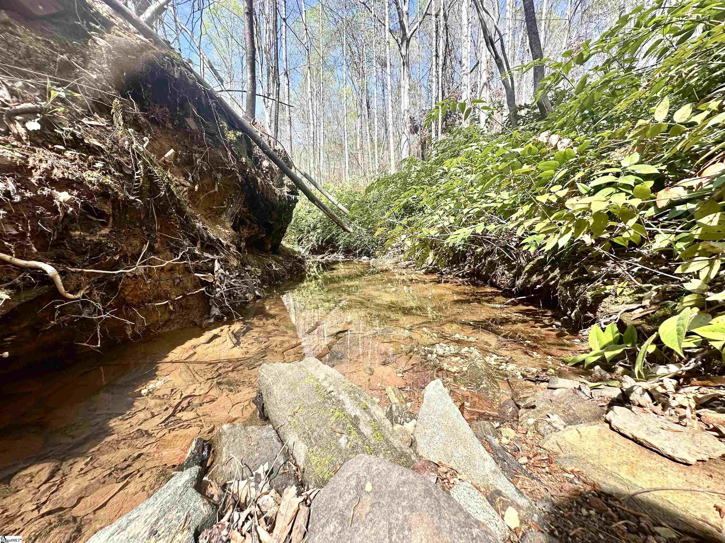 390 Old Mill Road Chesnee, SC 29323