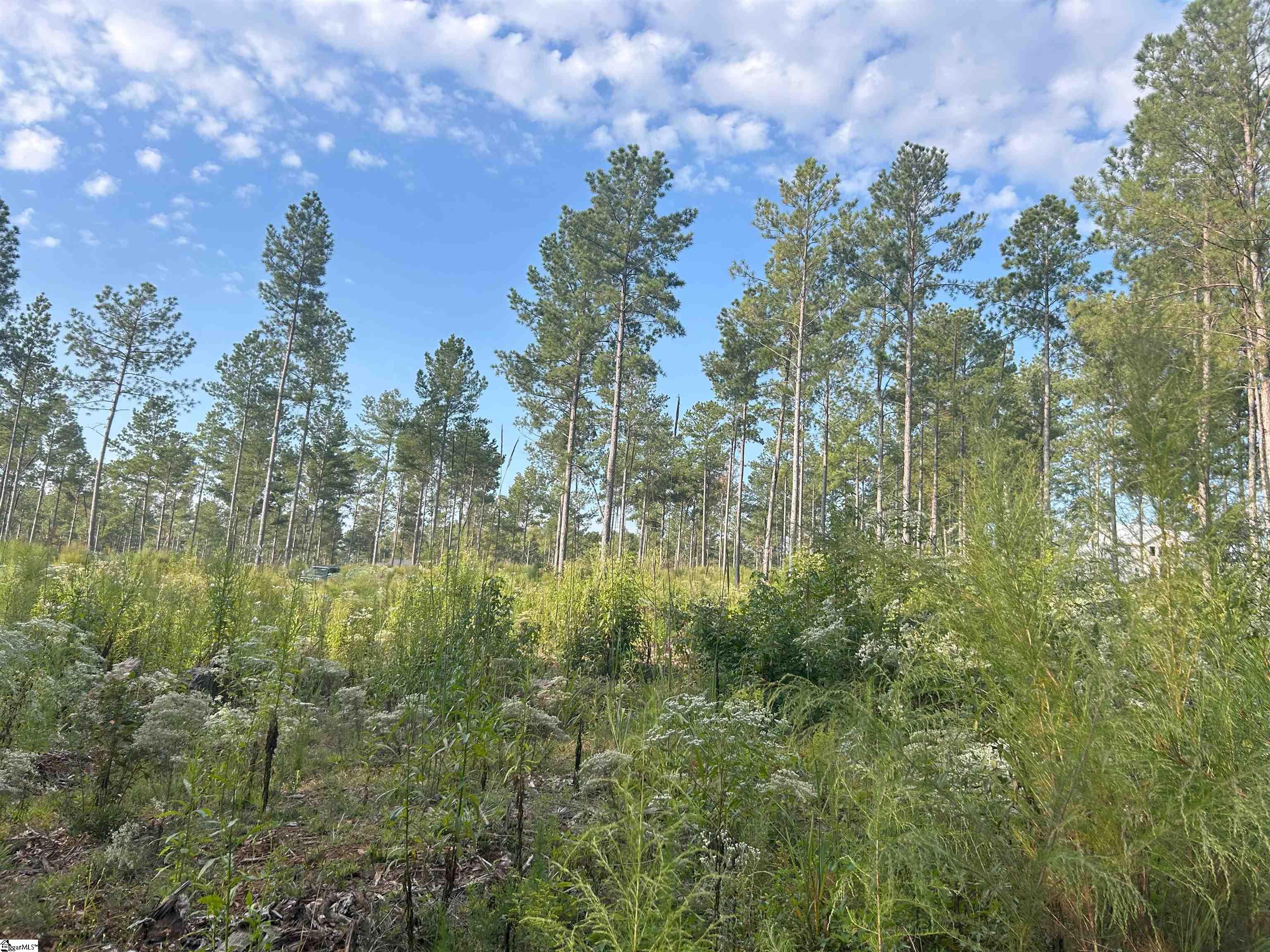 301 Berry Road Pelzer, SC 29669