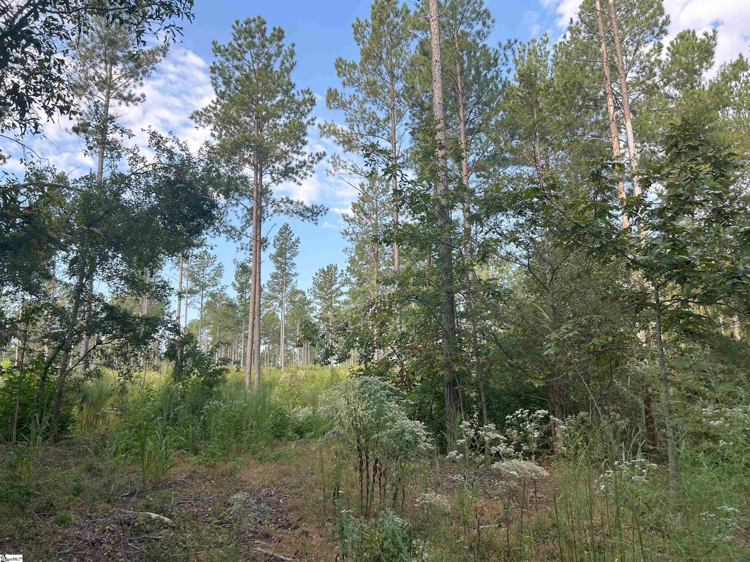 301 Berry Road Pelzer, SC 29669