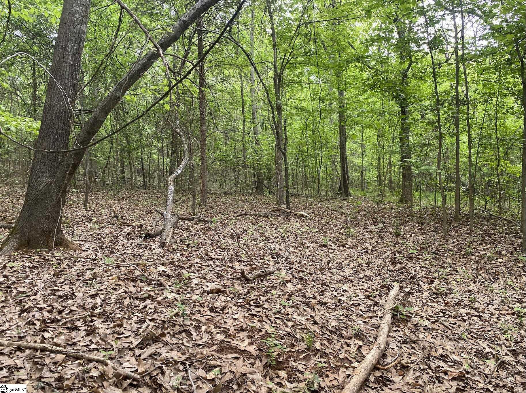 Wingo Road Wellford, SC 29385