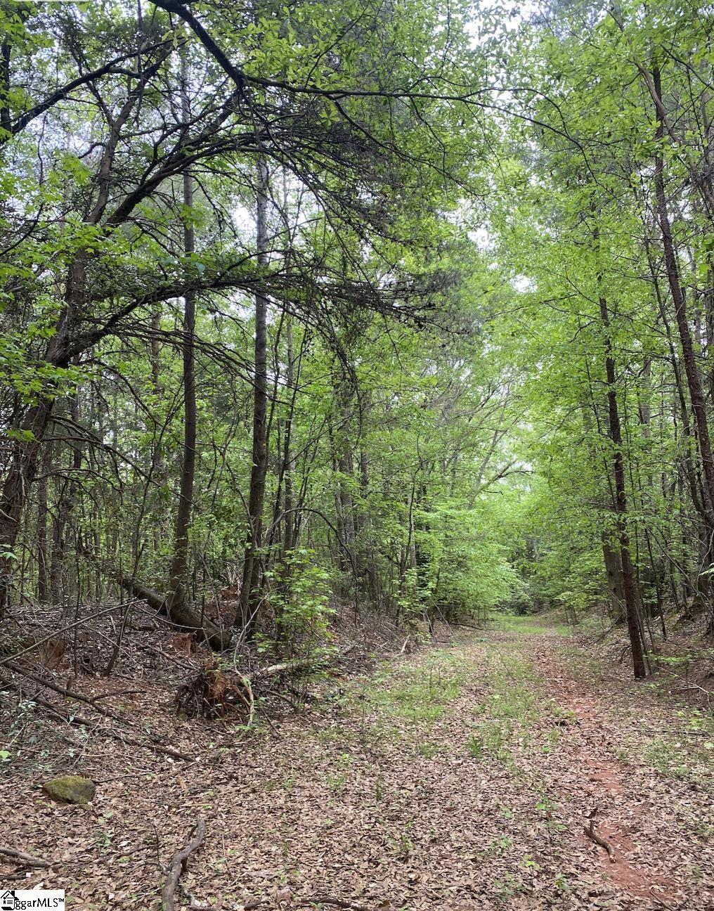 Wingo Road Wellford, SC 29385