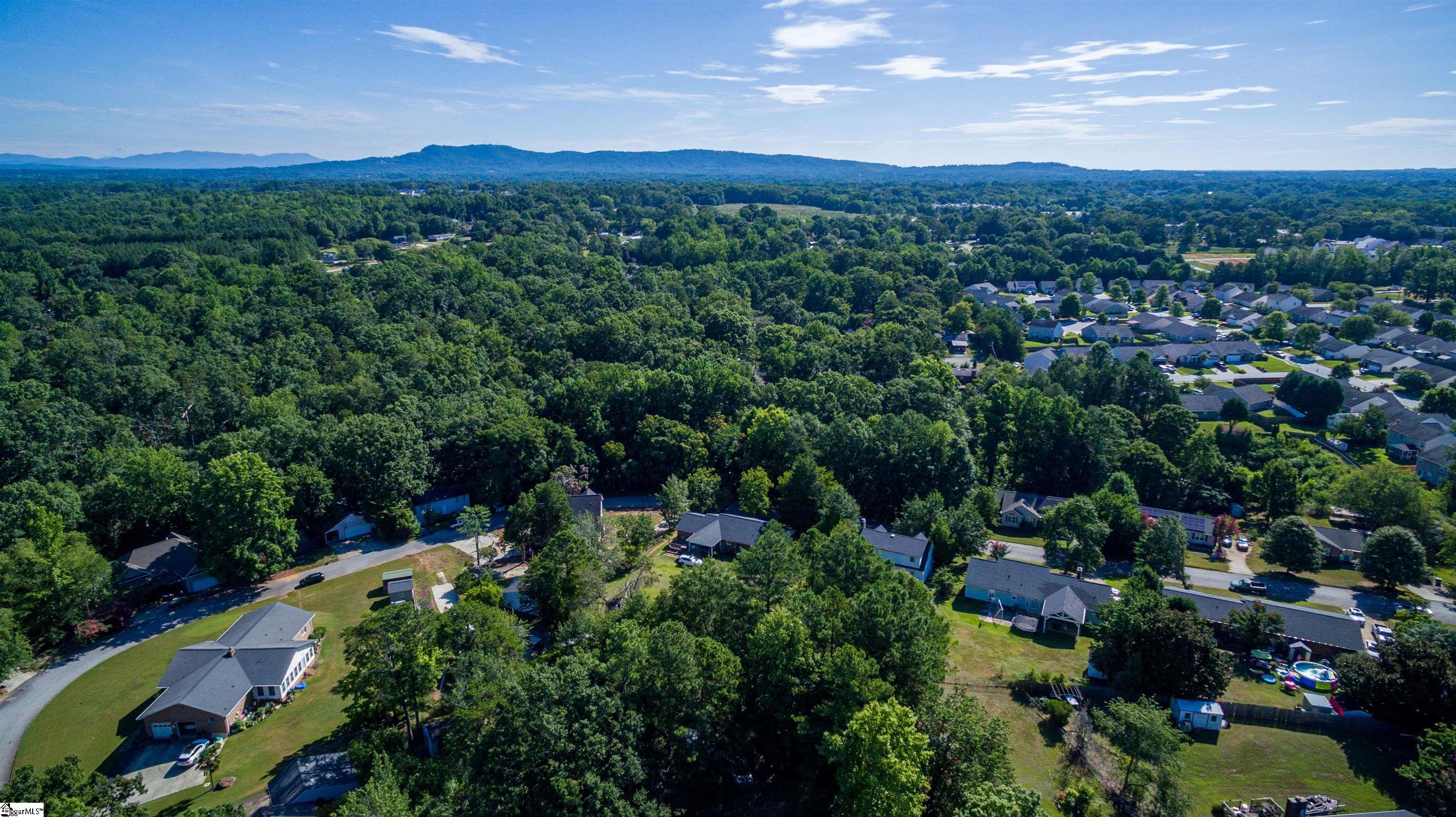 1242 Green Fern Drive Greenville, SC 29611