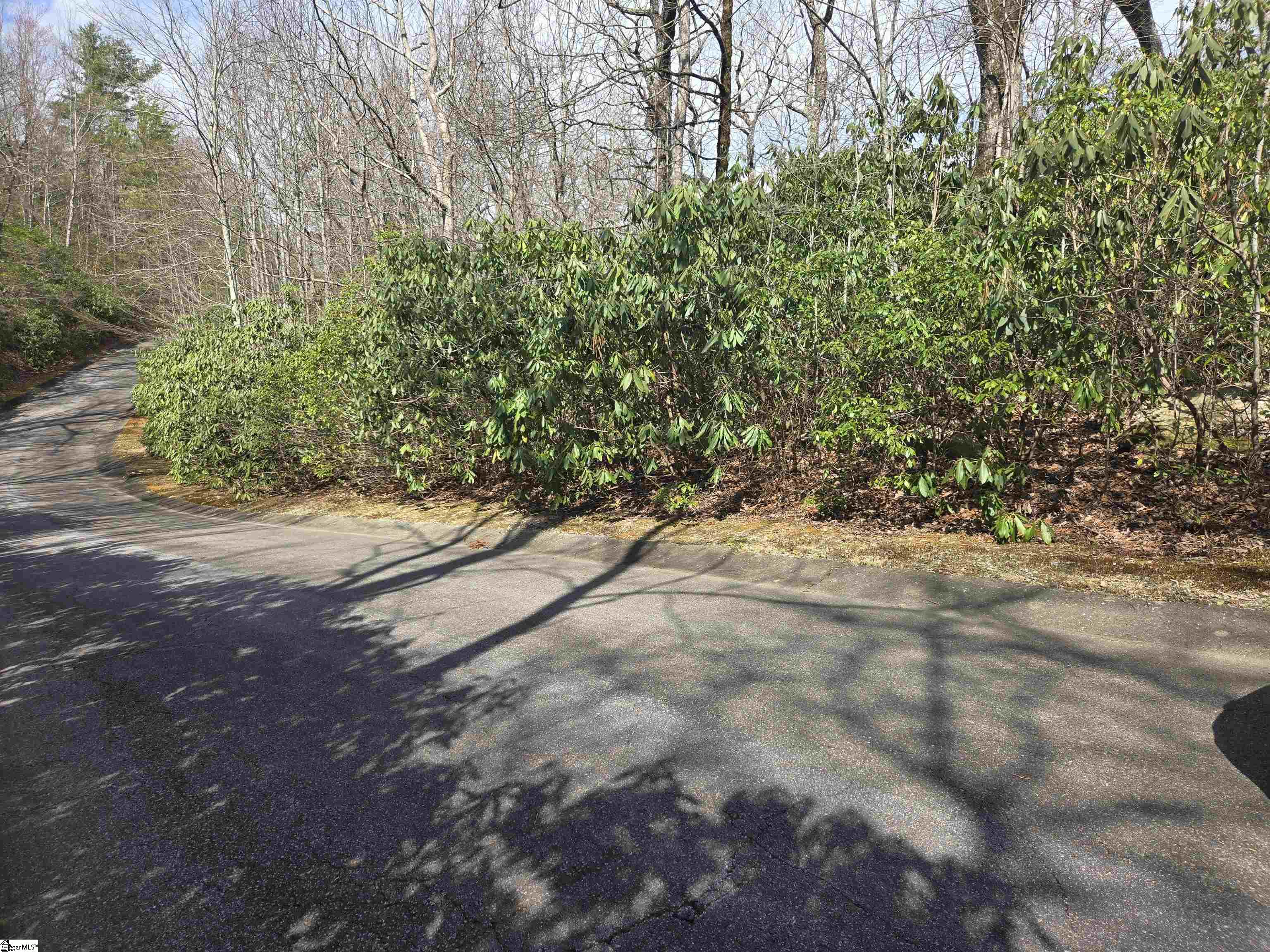 33 Cliff Ridge Drive Cleveland, SC 29635