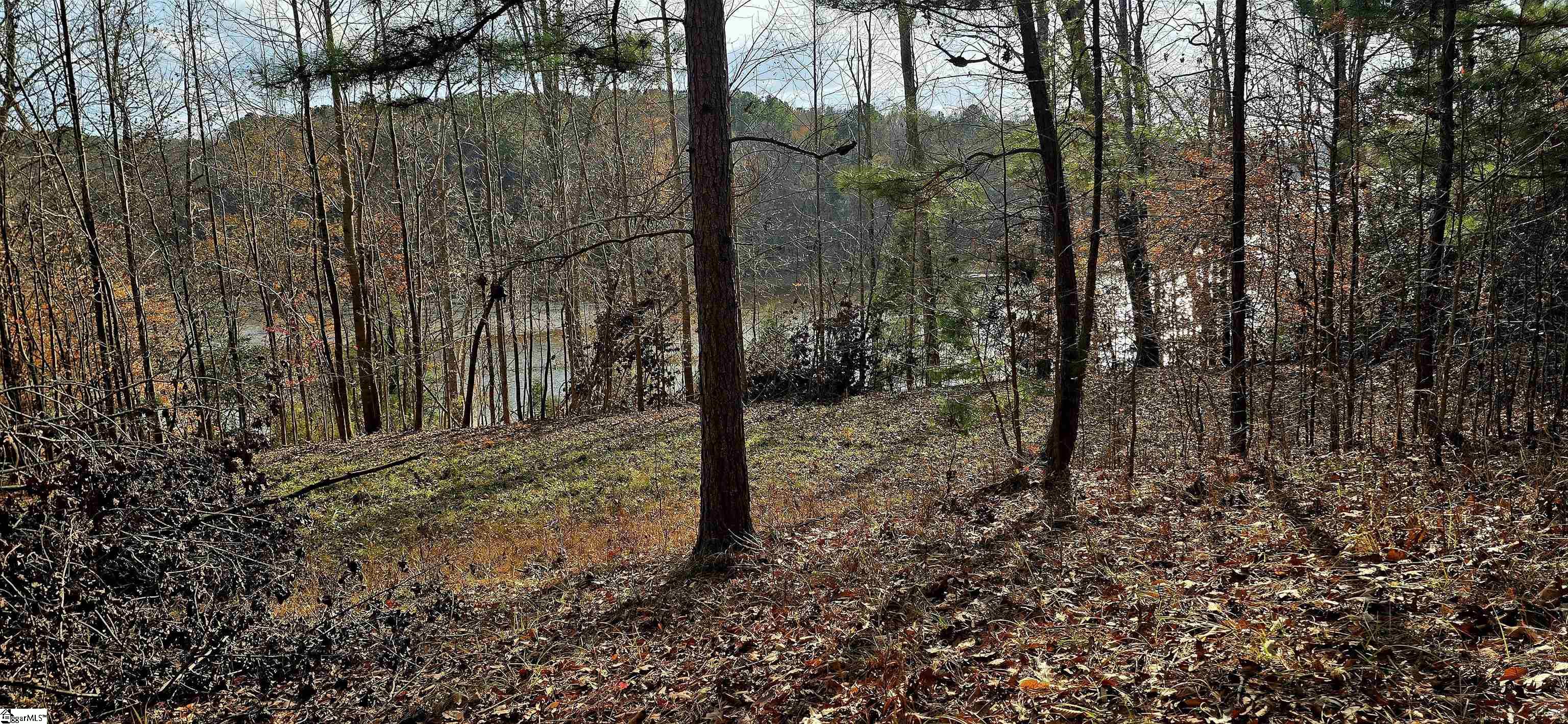 154 Latham Drive Anderson, SC 29621