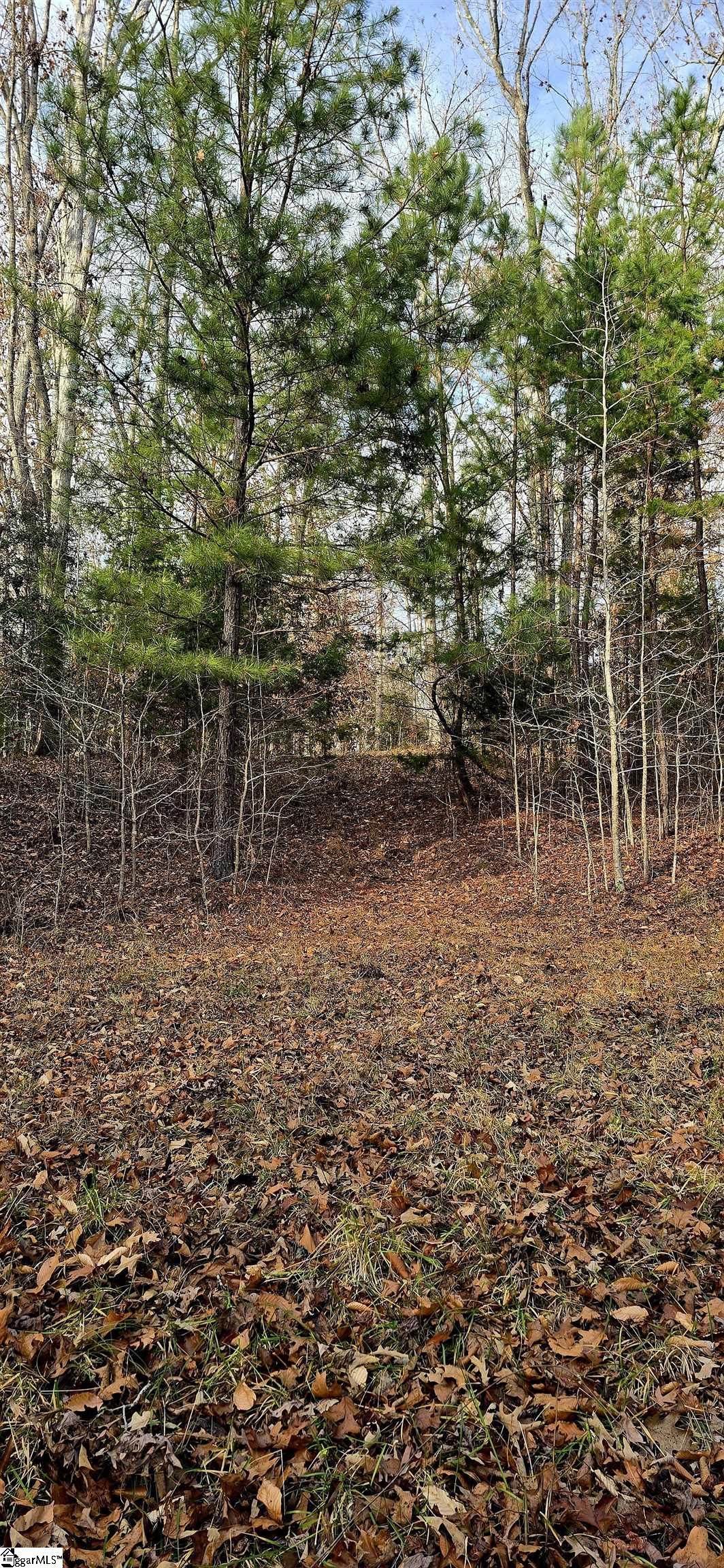 154 Latham Drive Anderson, SC 29621
