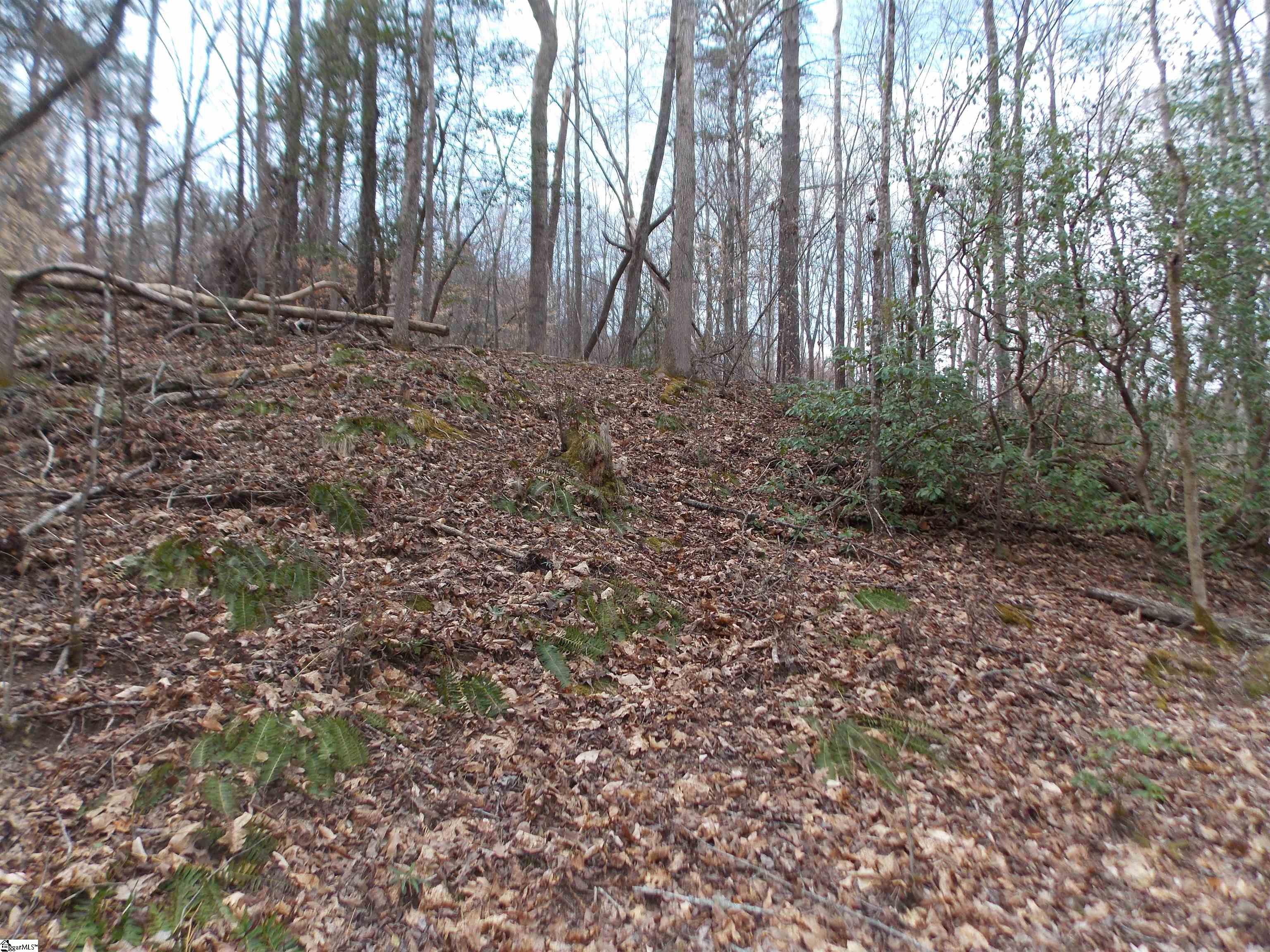 00 Holloway Road Marietta, SC 29661