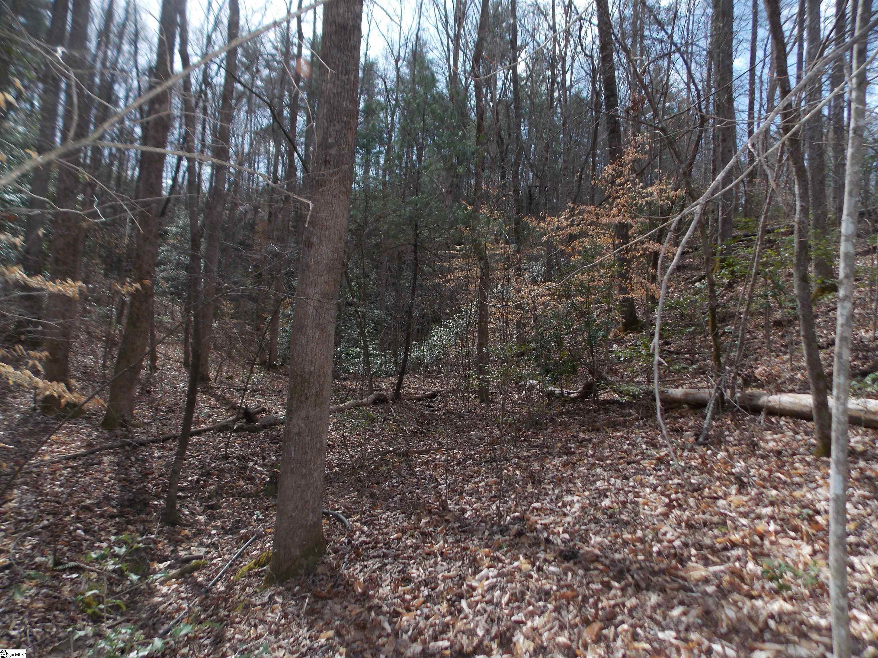 00 Holloway Road Marietta, SC 29661