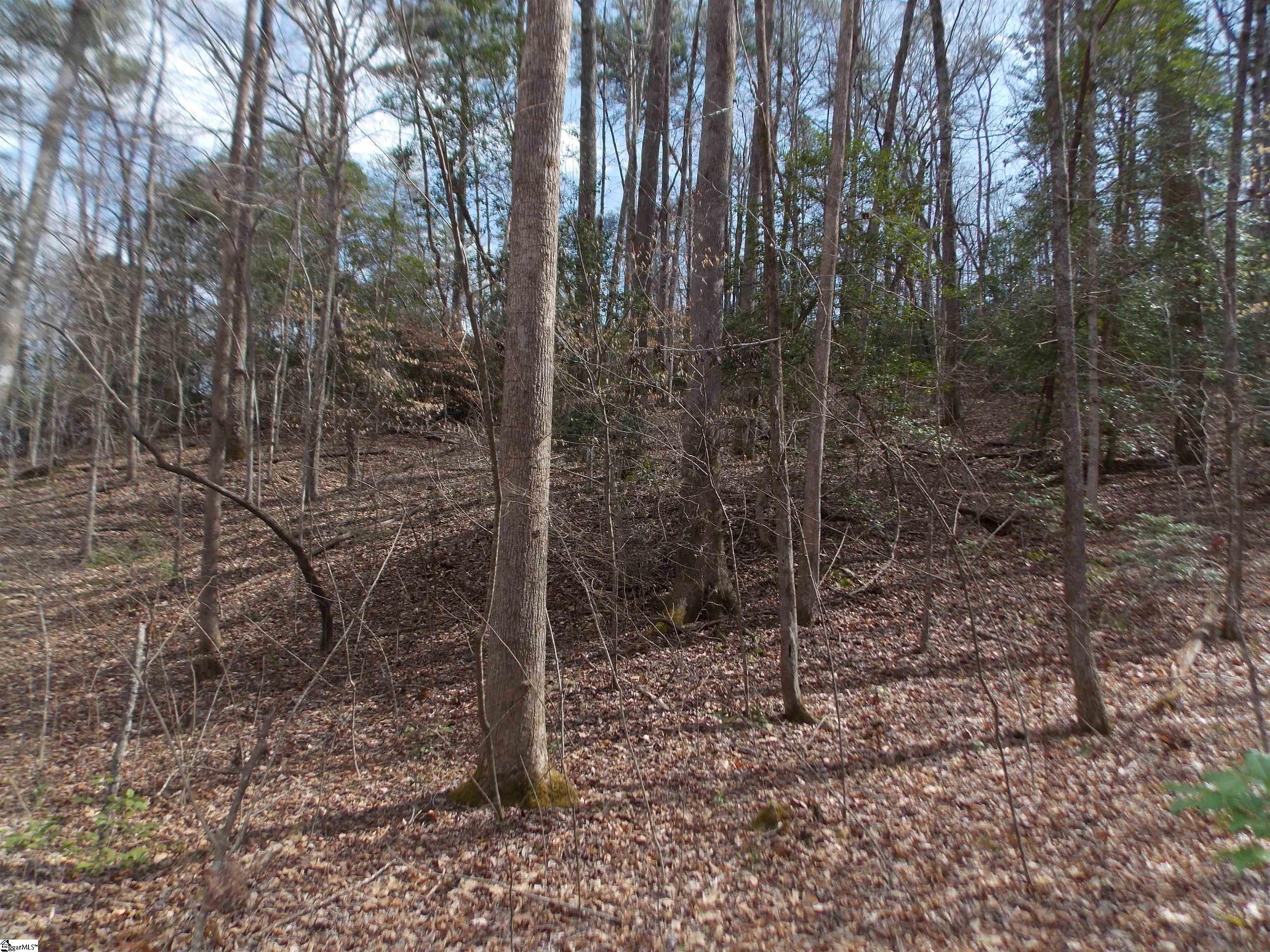 00 Holloway Road Marietta, SC 29661
