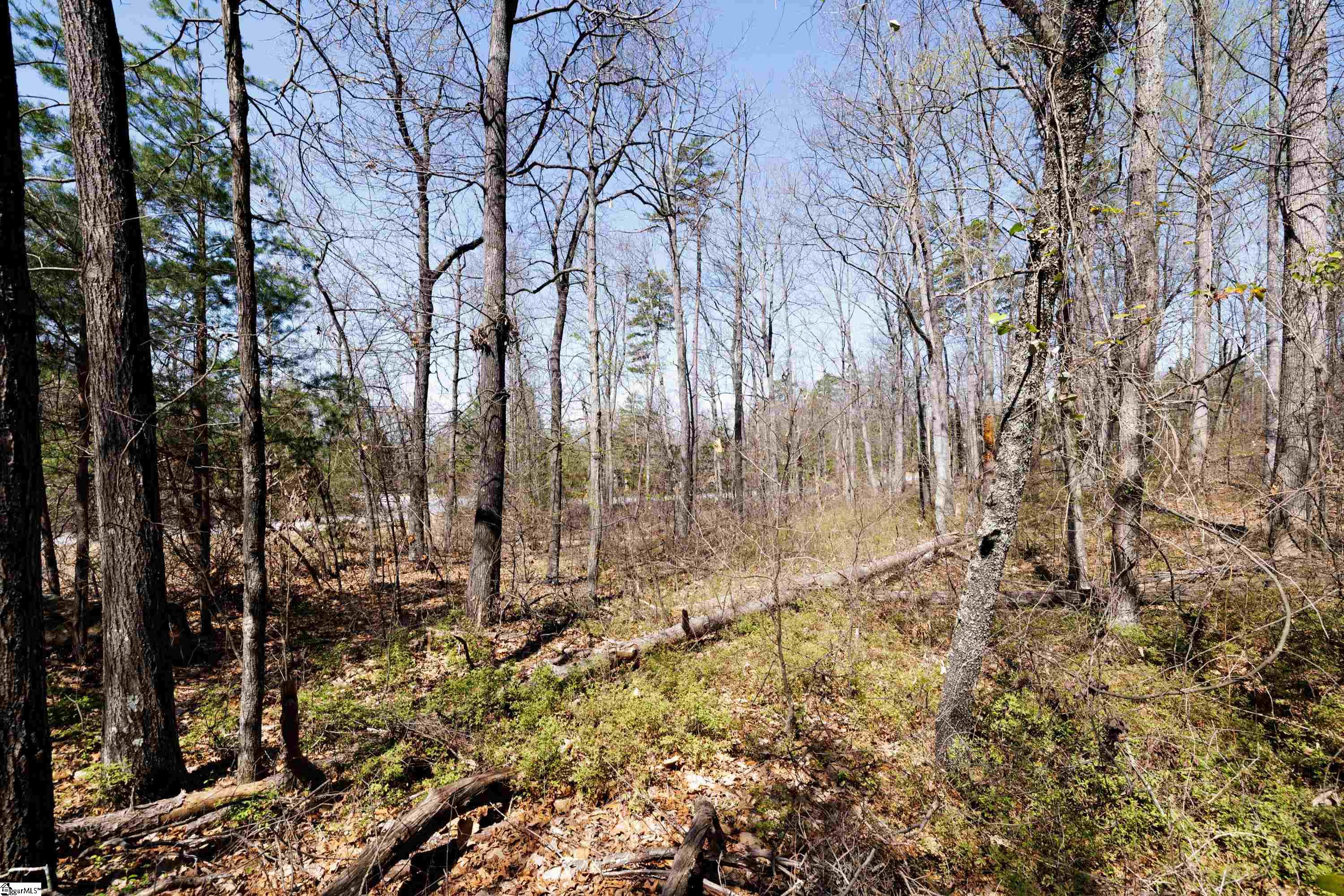 10 Donatello Court UNIT Lot 94 Greenville, SC 29609