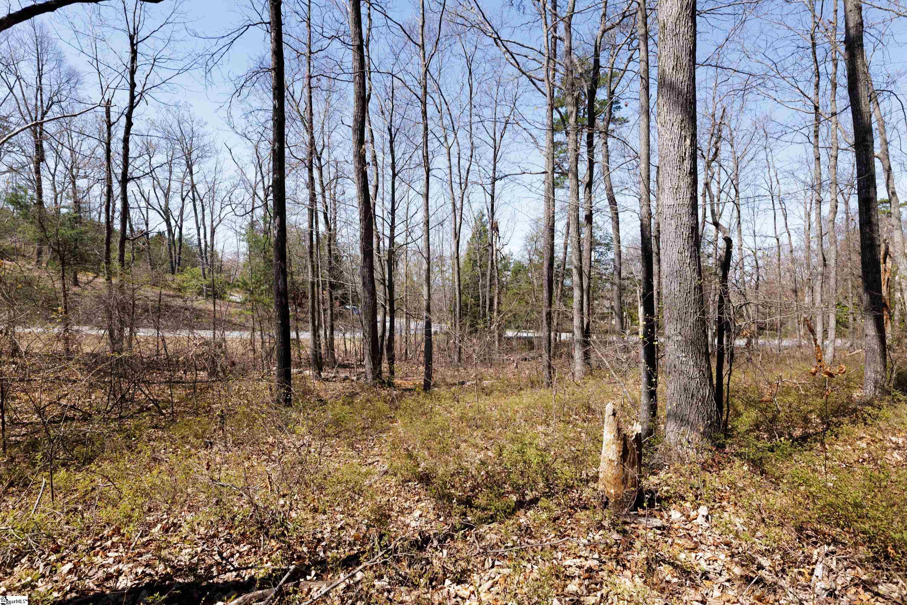 10 Donatello Court UNIT Lot 94 Greenville, SC 29609