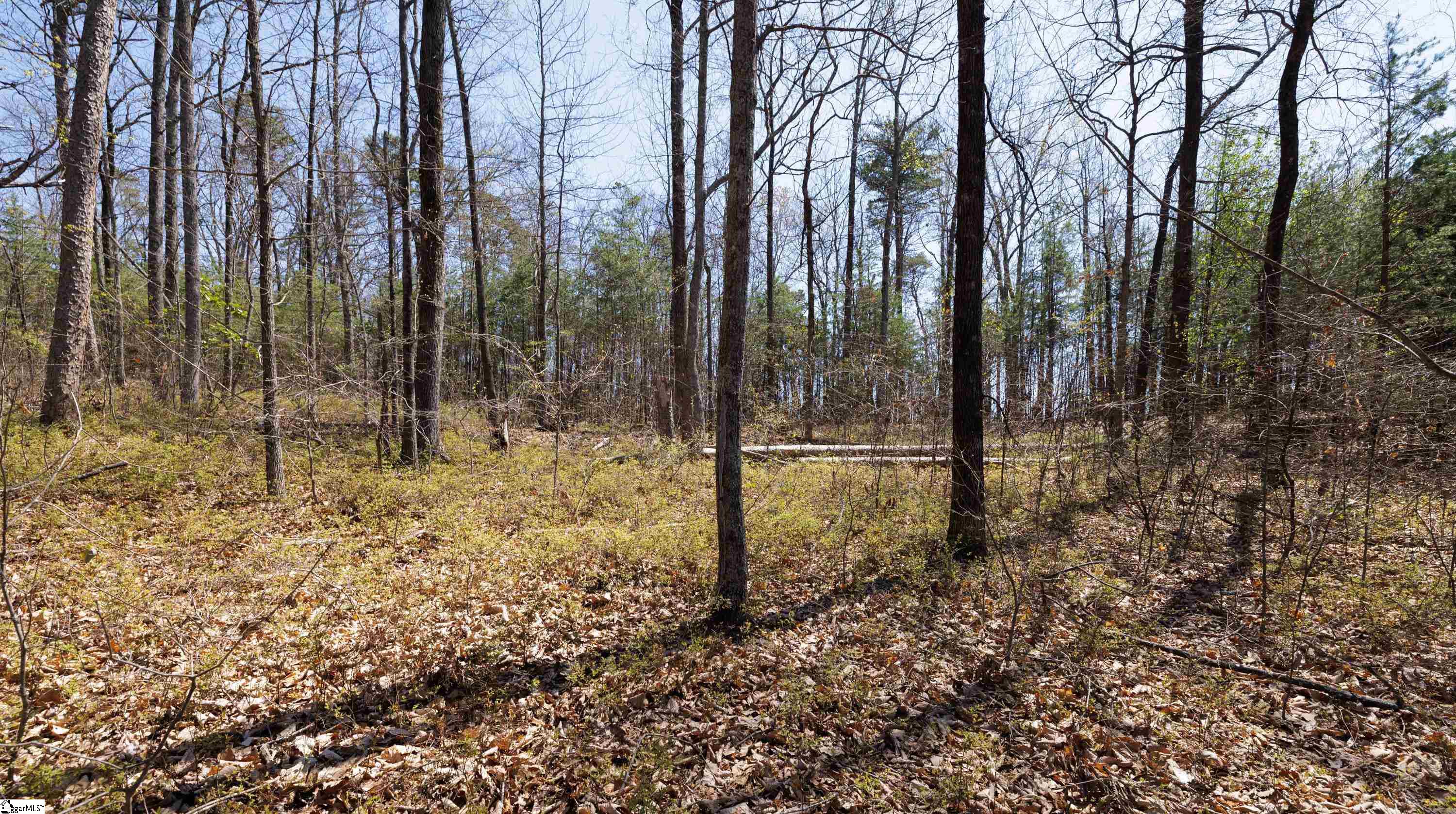 10 Donatello Court UNIT Lot 94 Greenville, SC 29609