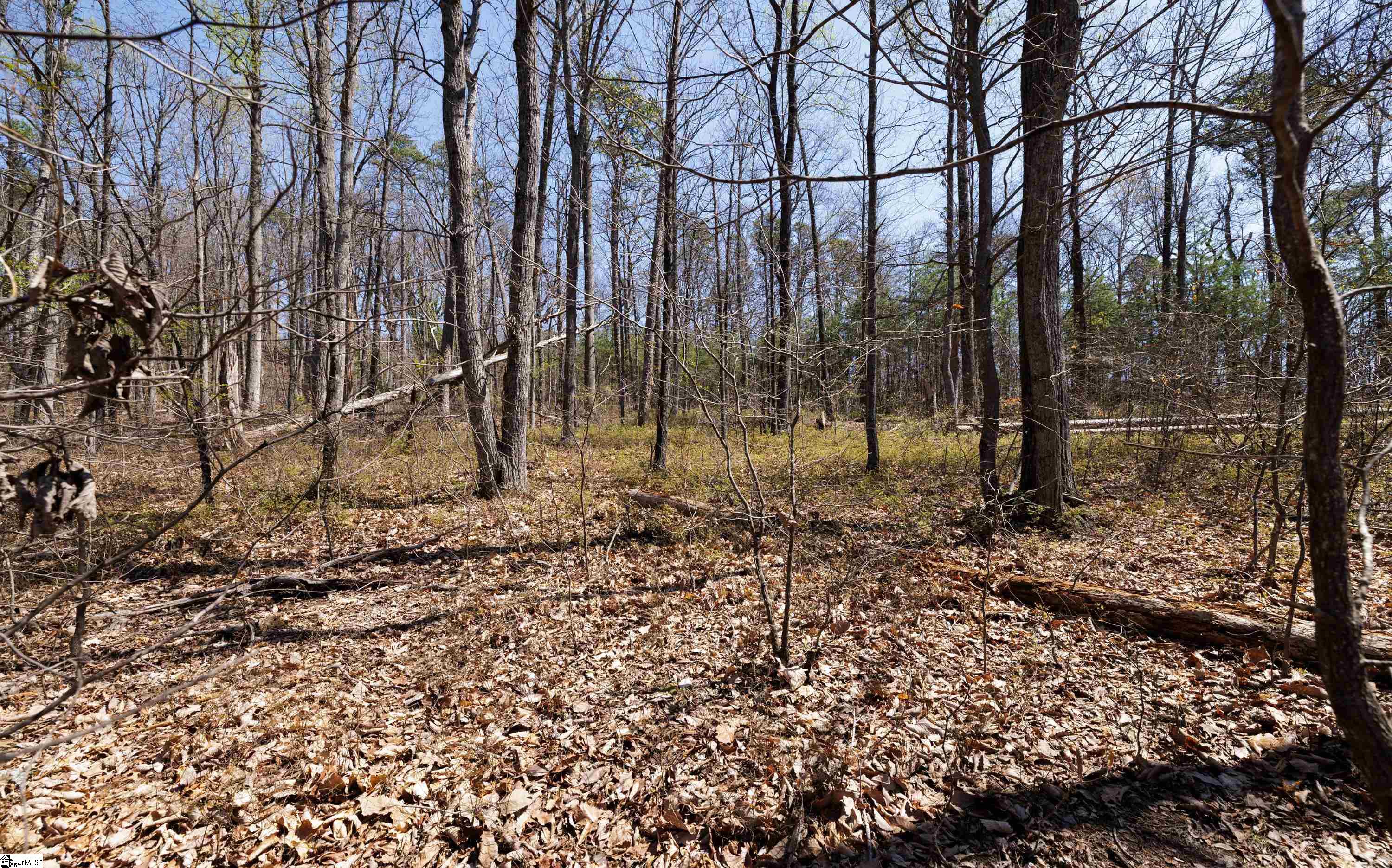 10 Donatello Court UNIT Lot 94 Greenville, SC 29609