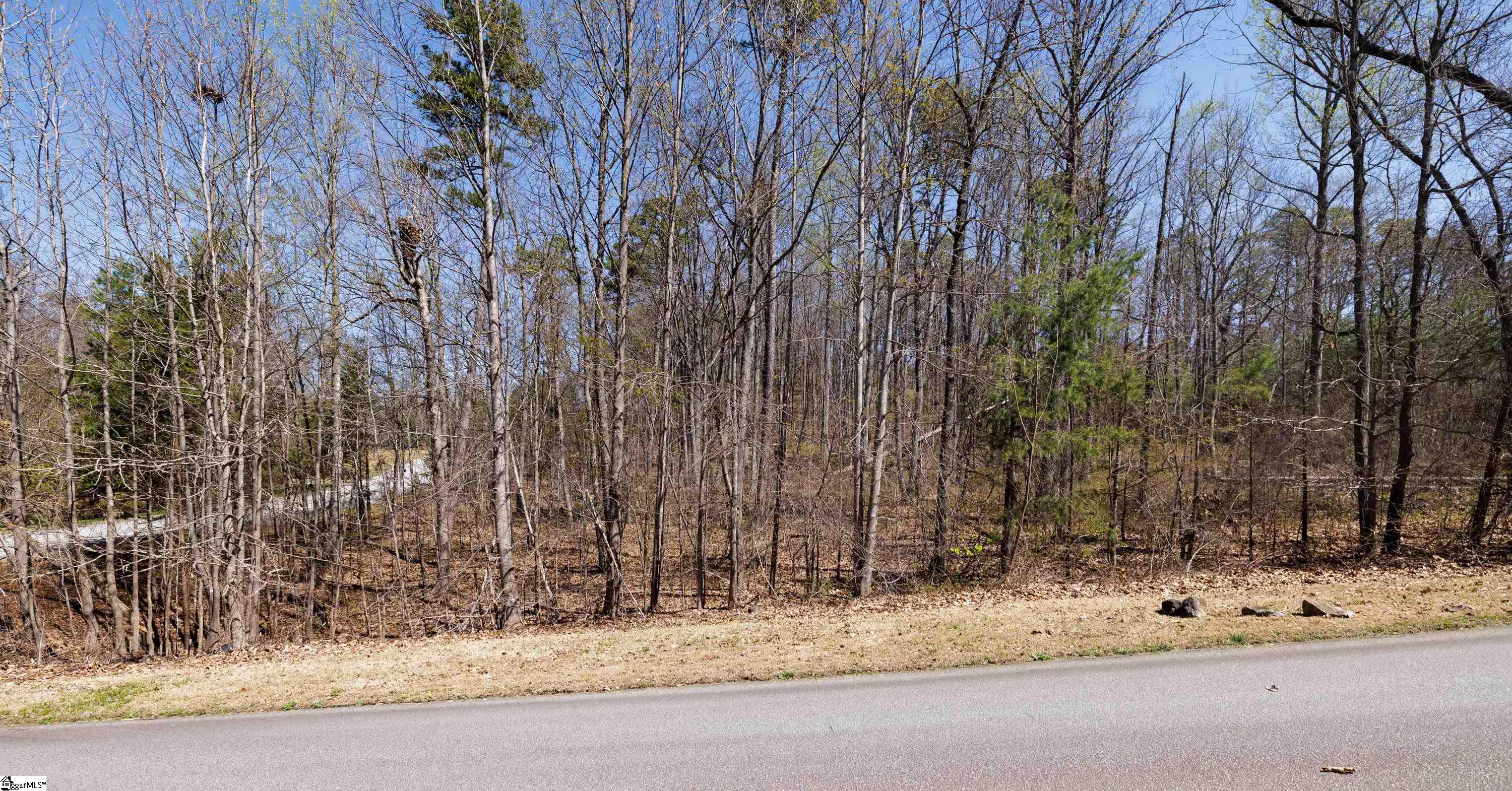 10 Donatello Court UNIT Lot 94 Greenville, SC 29609