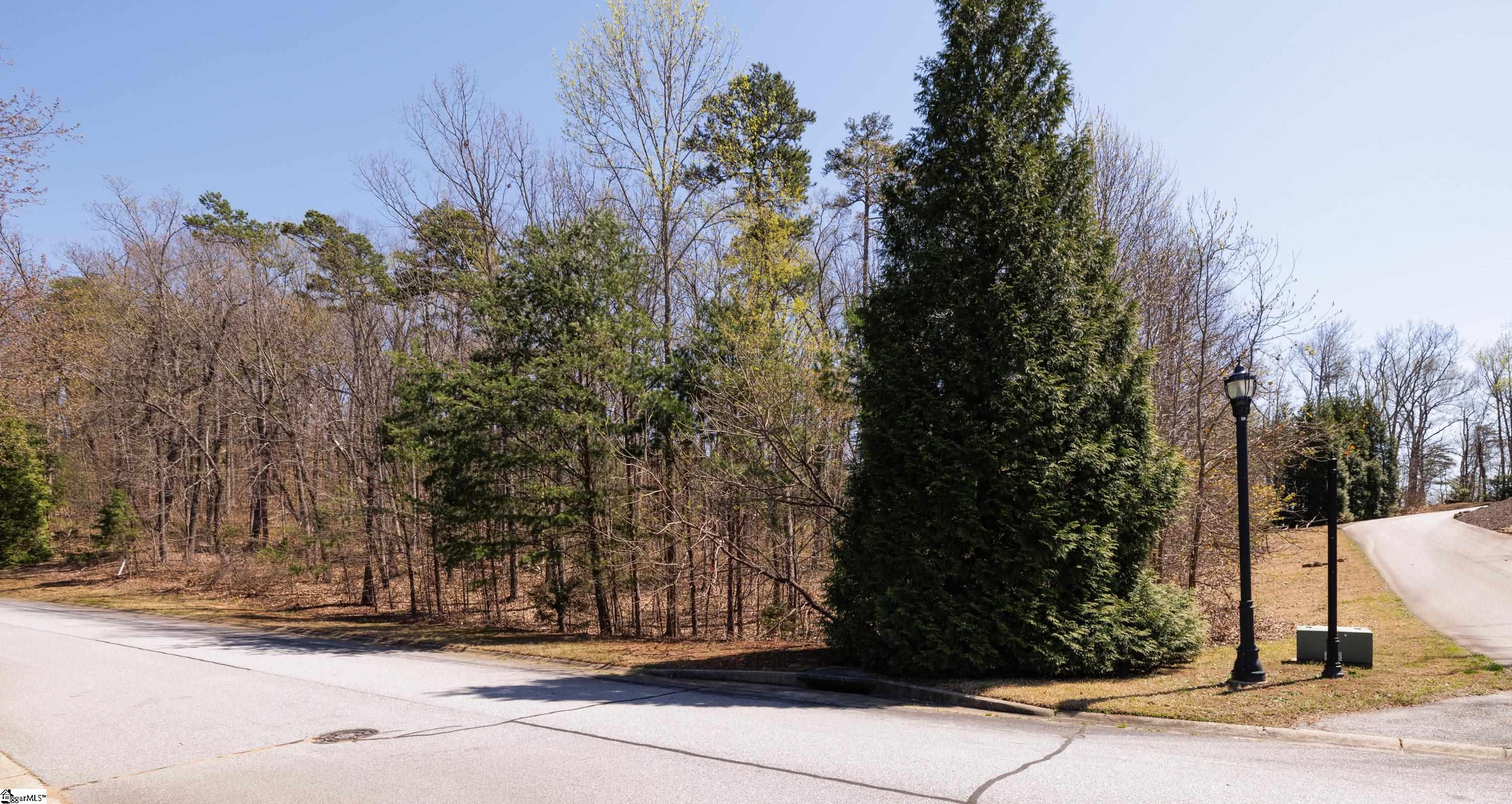 10 Donatello Court UNIT Lot 94 Greenville, SC 29609