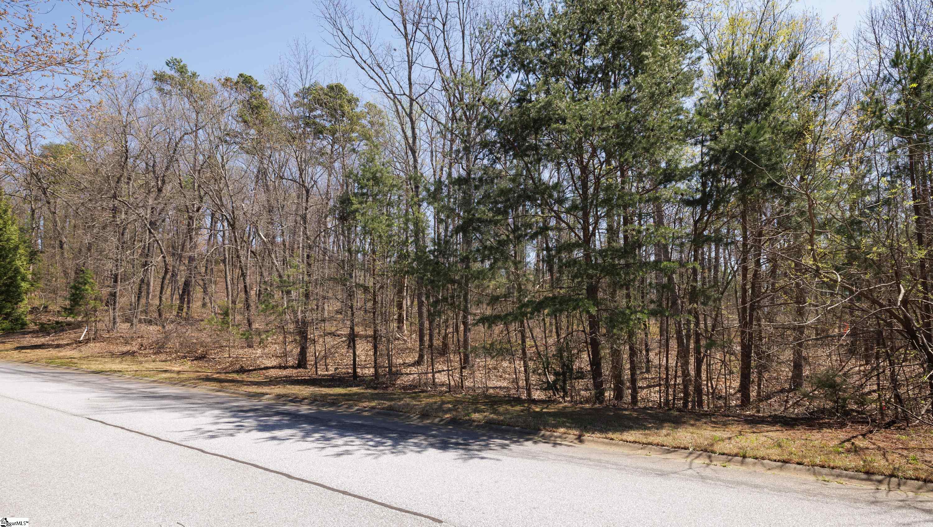10 Donatello Court UNIT Lot 94 Greenville, SC 29609