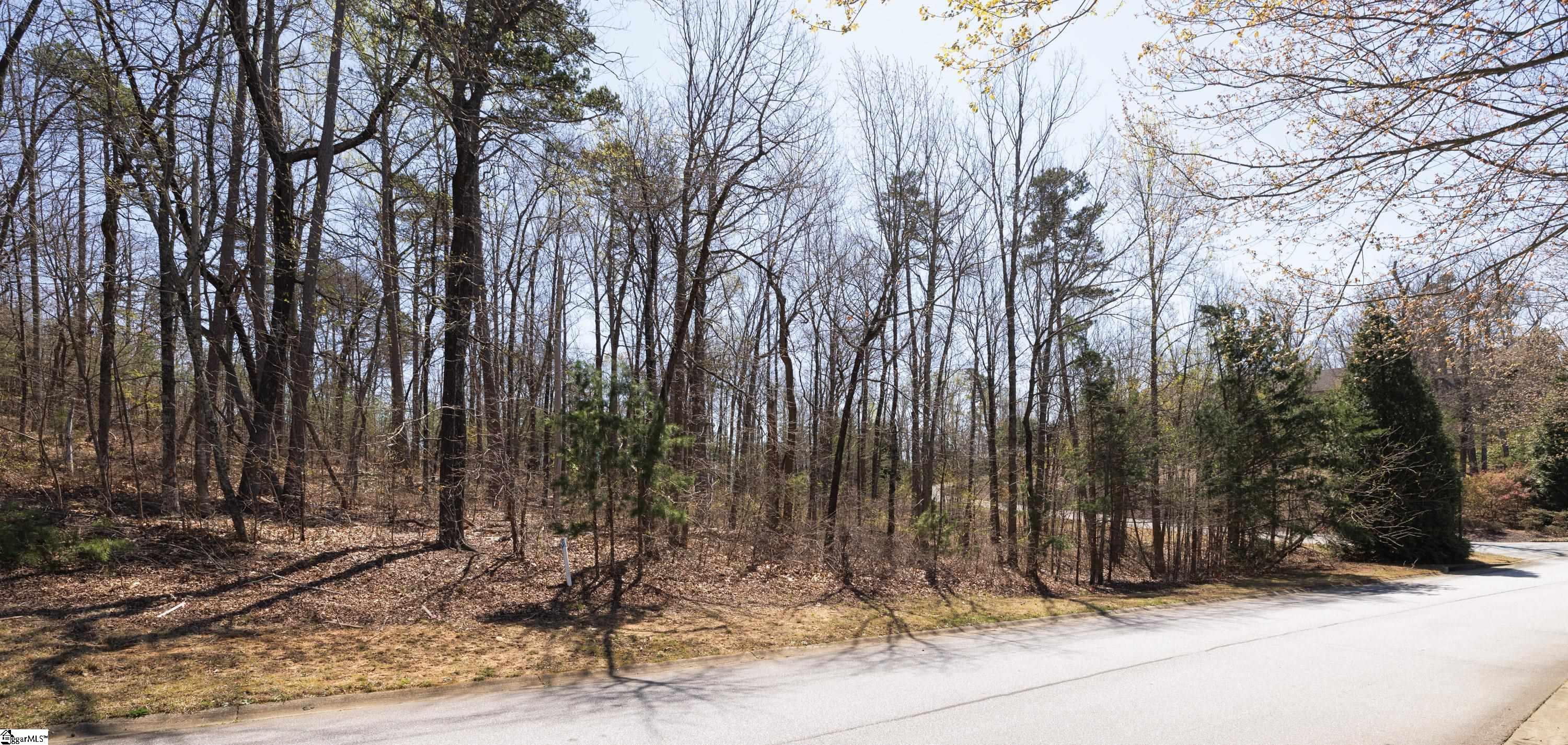 10 Donatello Court UNIT Lot 94 Greenville, SC 29609