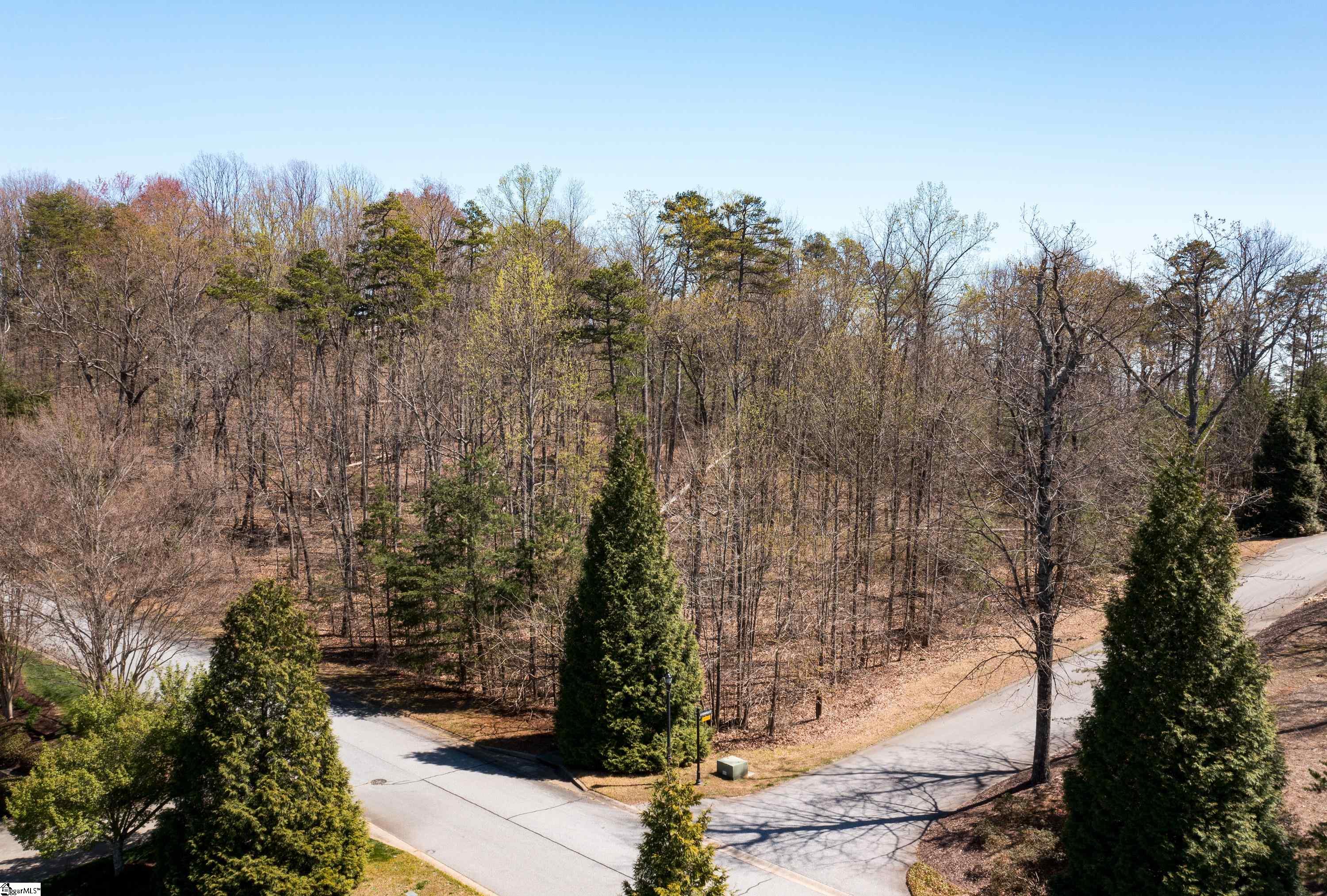 10 Donatello Court UNIT Lot 94 Greenville, SC 29609