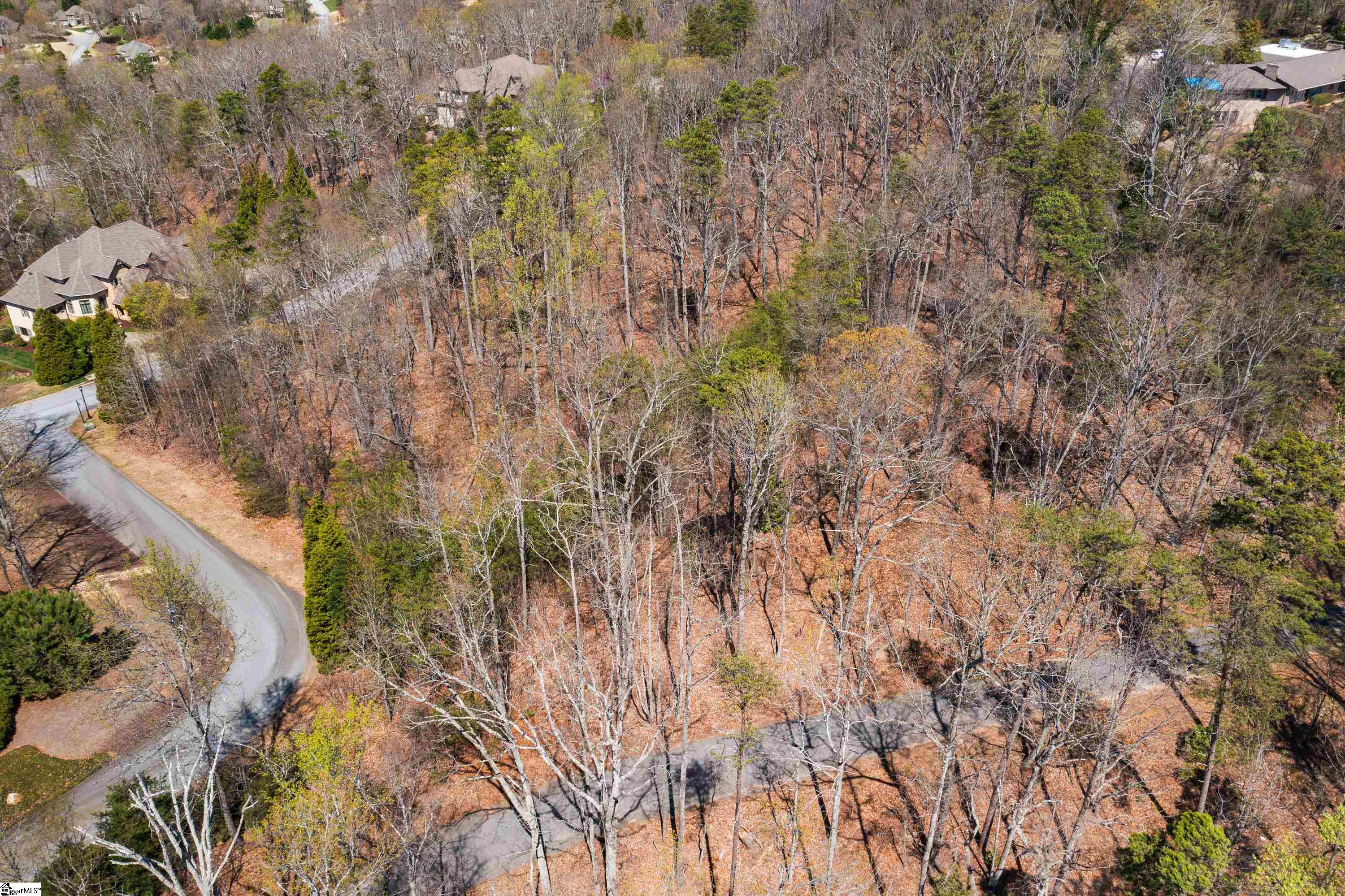 10 Donatello Court UNIT Lot 94 Greenville, SC 29609