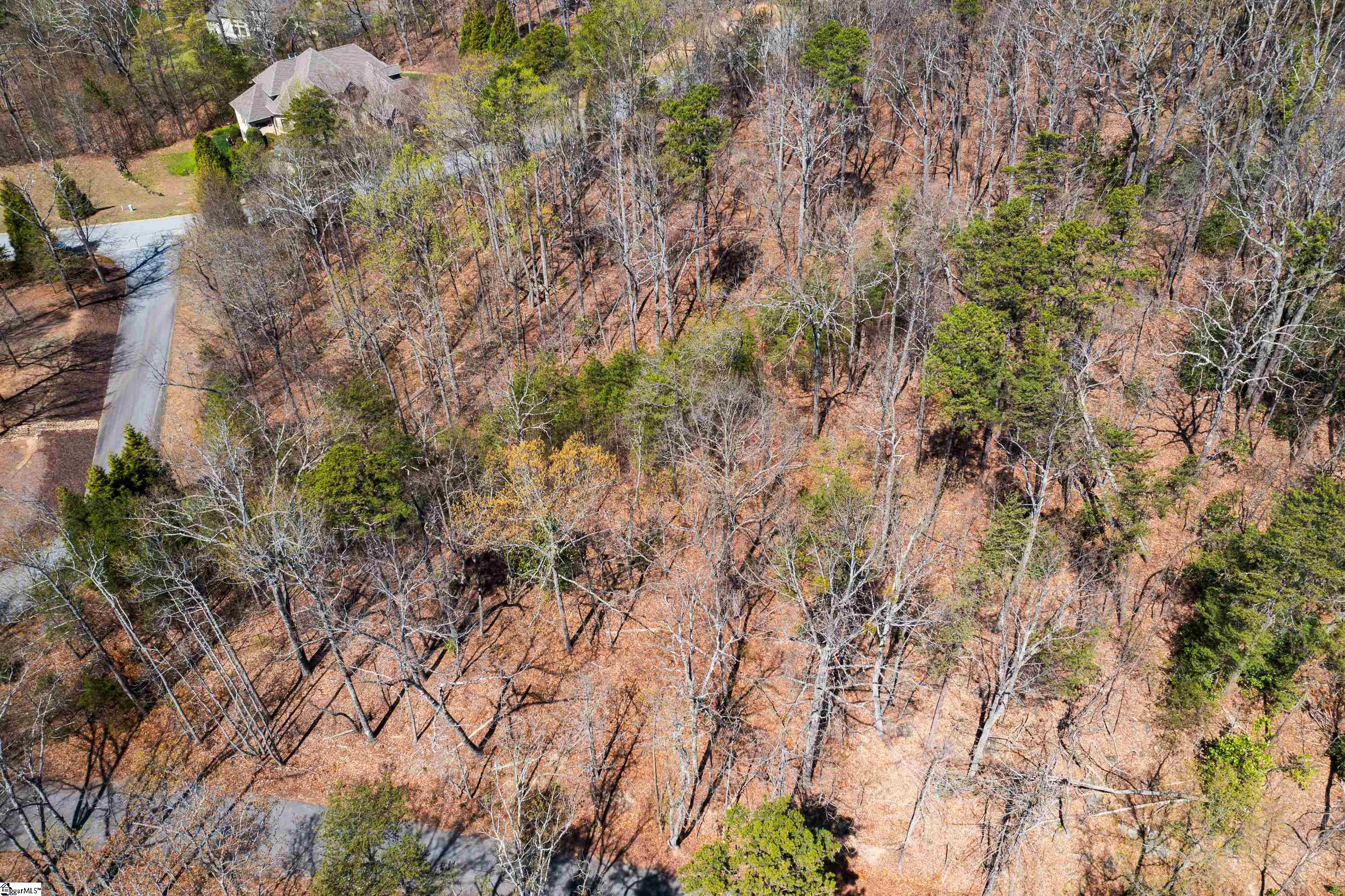 10 Donatello Court UNIT Lot 94 Greenville, SC 29609