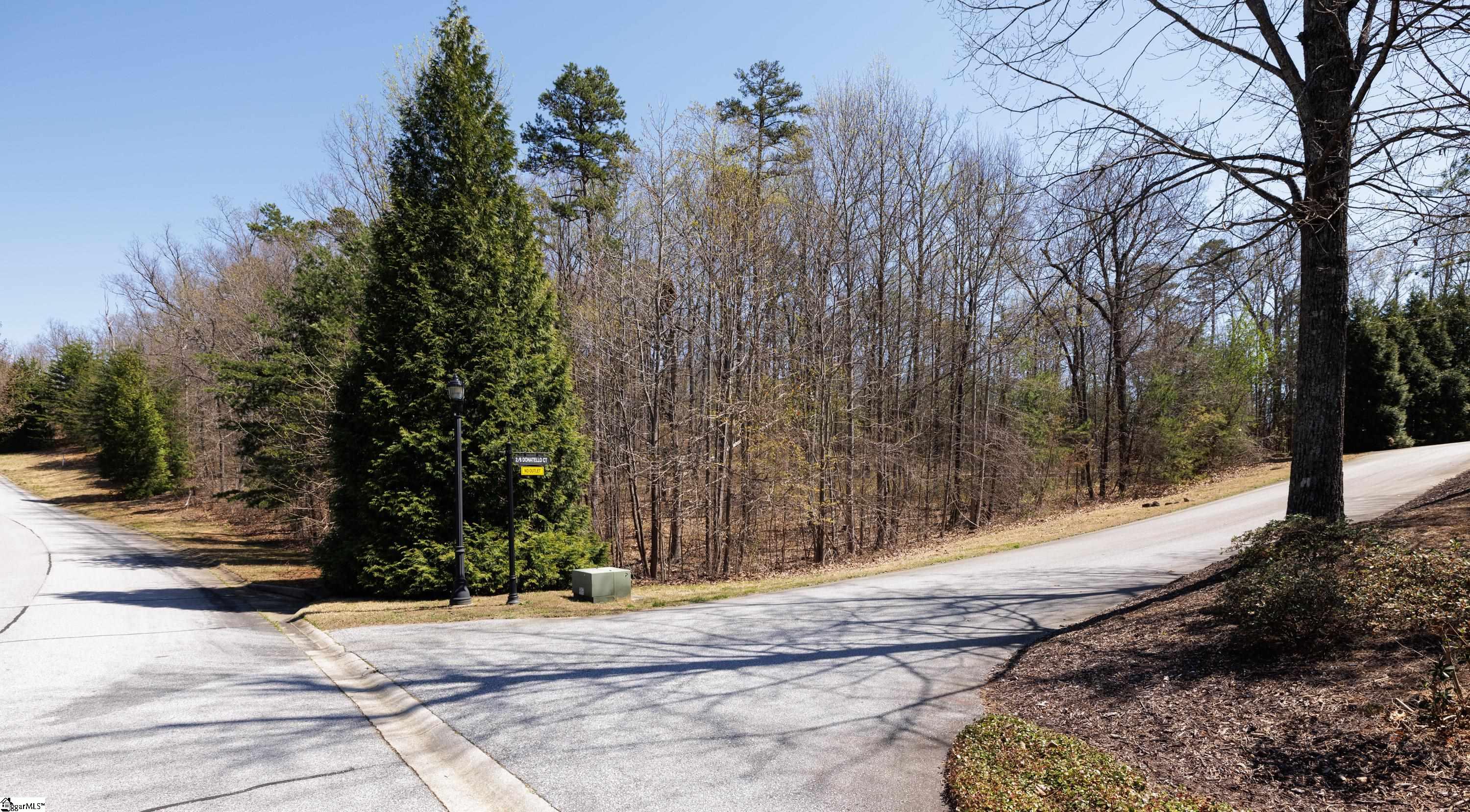 10 Donatello Court UNIT Lot 94 Greenville, SC 29609