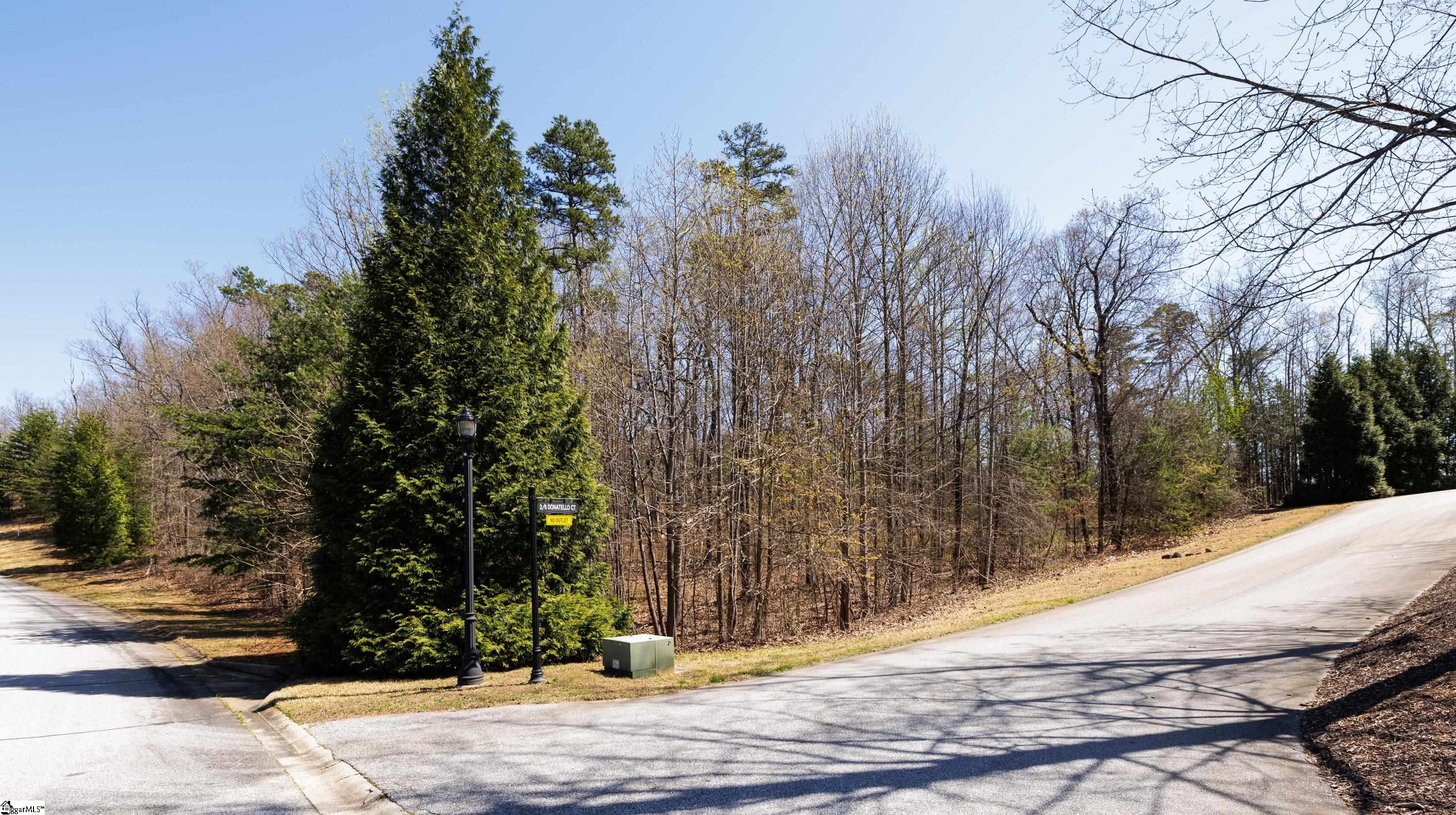 10 Donatello Court UNIT Lot 94 Greenville, SC 29609
