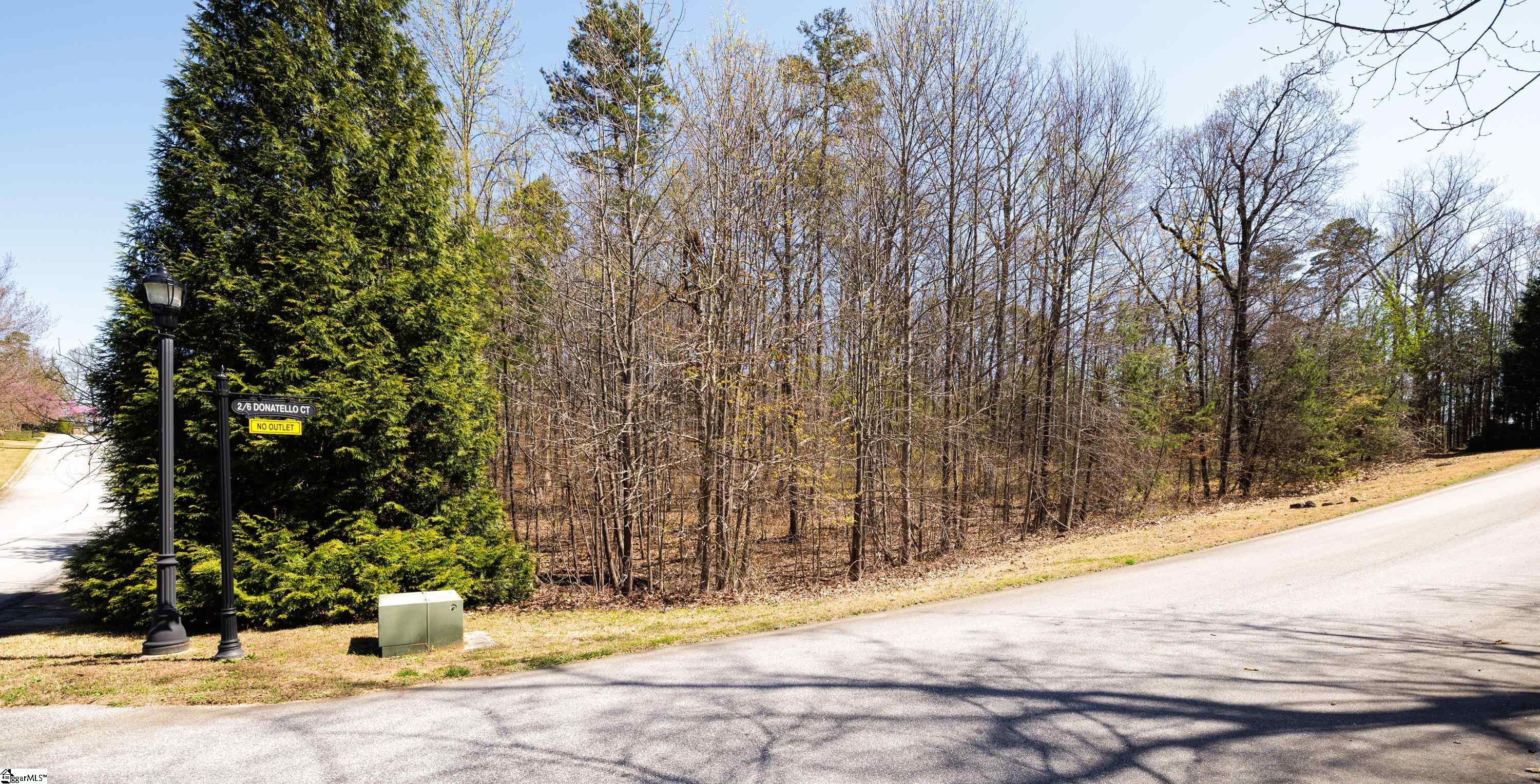 10 Donatello Court UNIT Lot 94 Greenville, SC 29609