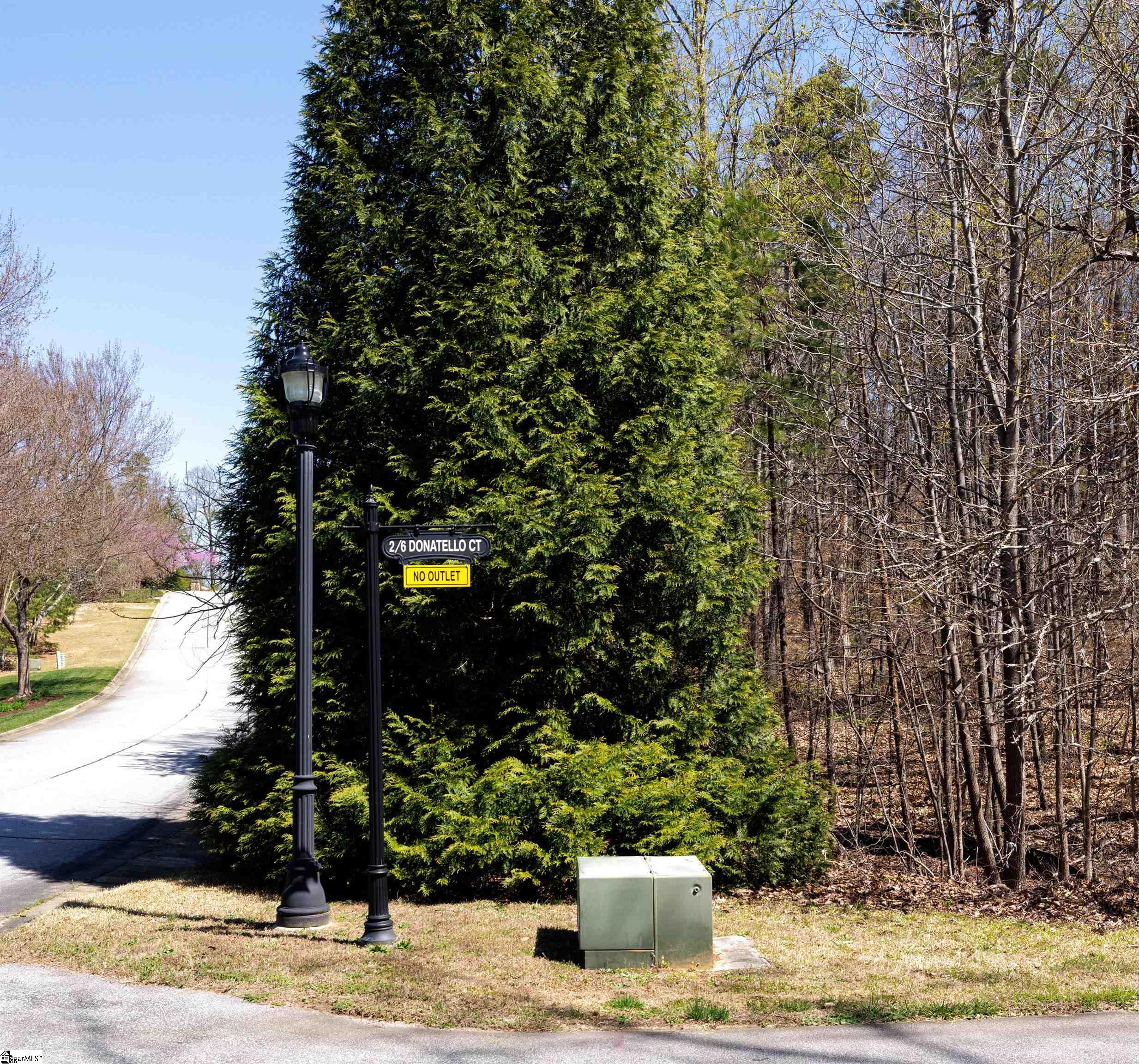10 Donatello Court UNIT Lot 94 Greenville, SC 29609