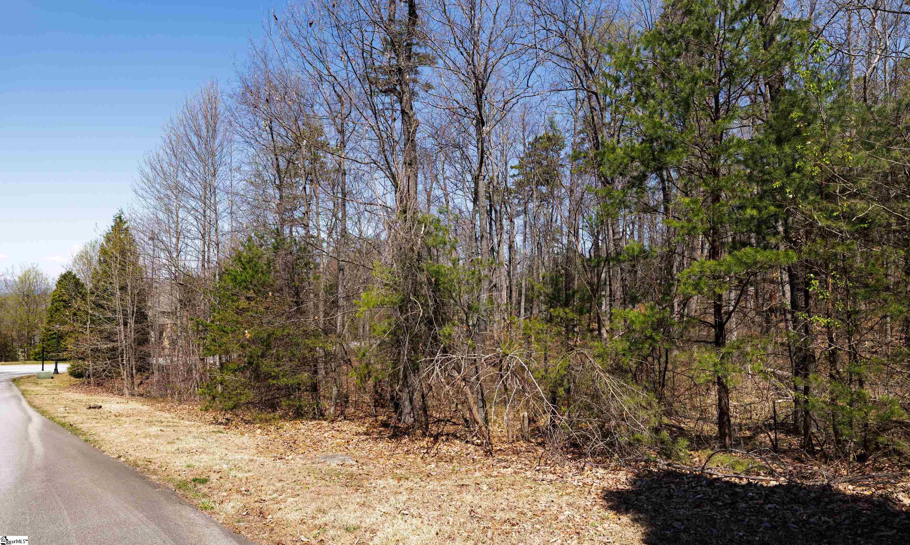 10 Donatello Court UNIT Lot 94 Greenville, SC 29609