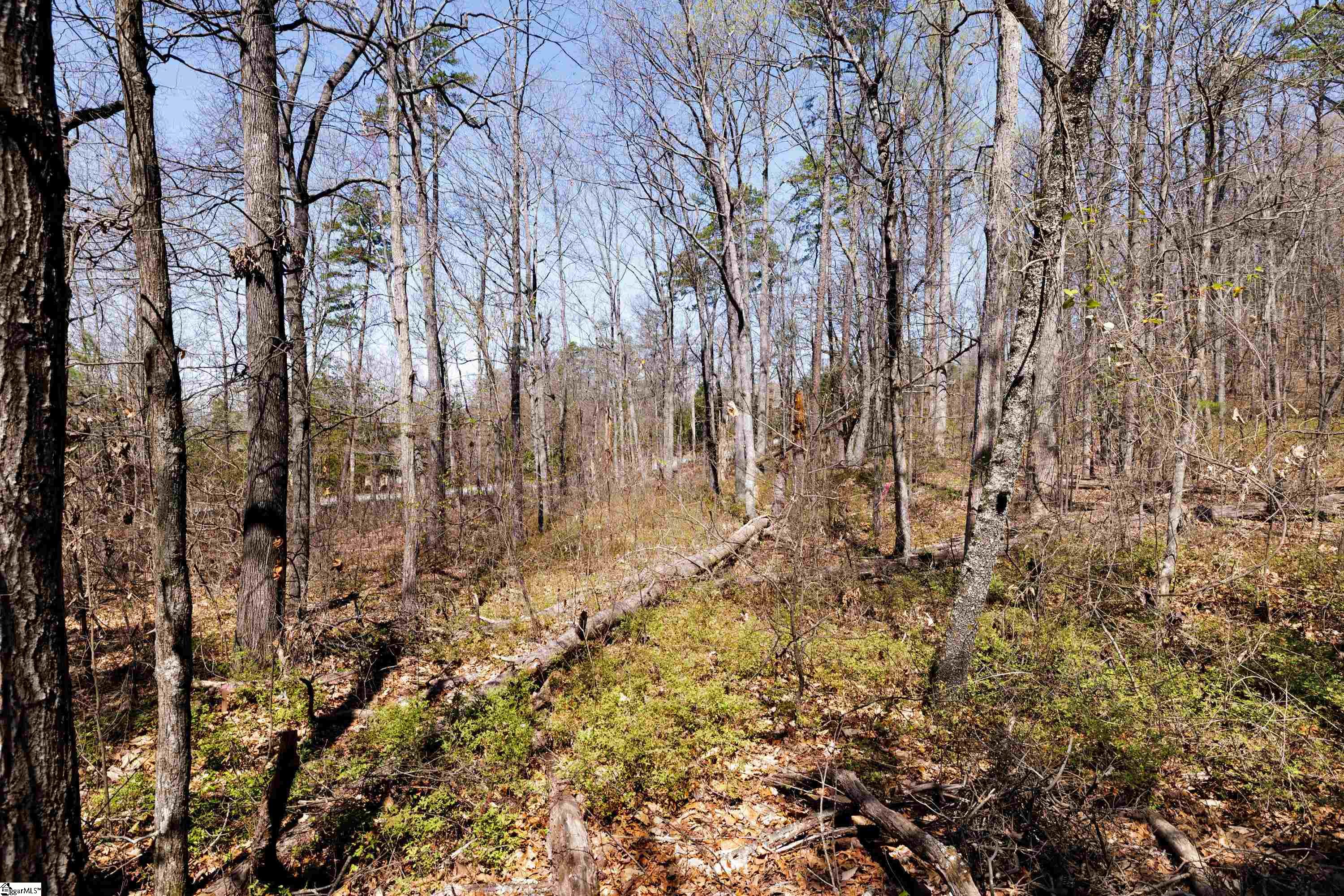 10 Donatello Court UNIT Lot 94 Greenville, SC 29609