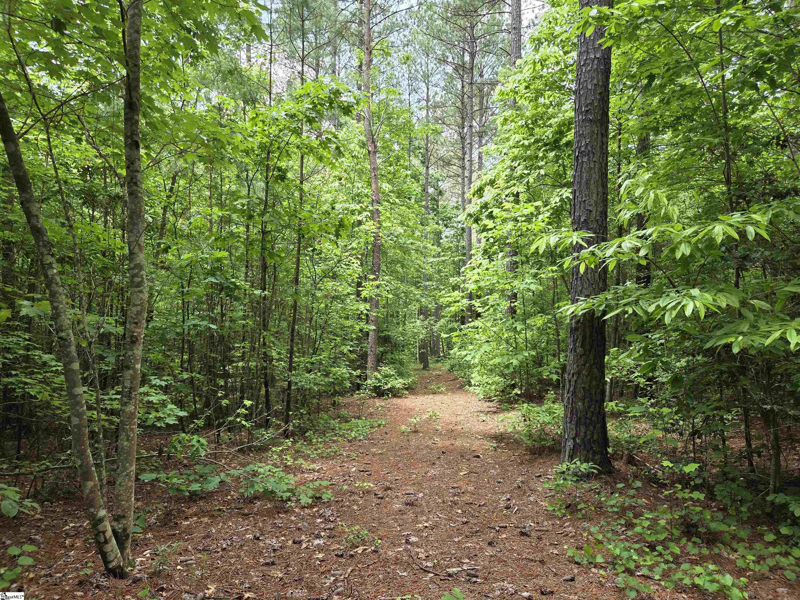 8 Belk Road Travelers Rest, SC 29690