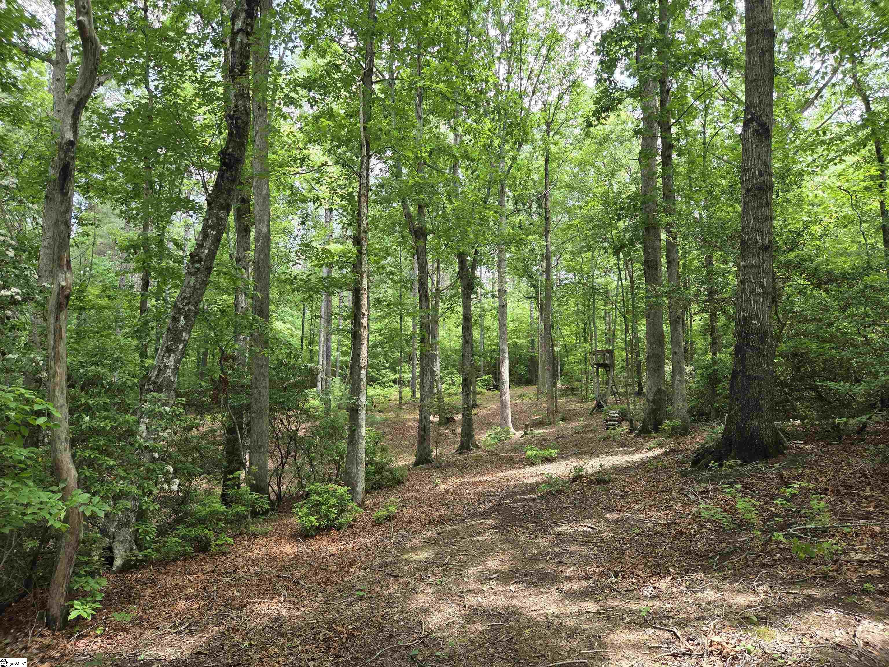 8 Belk Road Travelers Rest, SC 29690