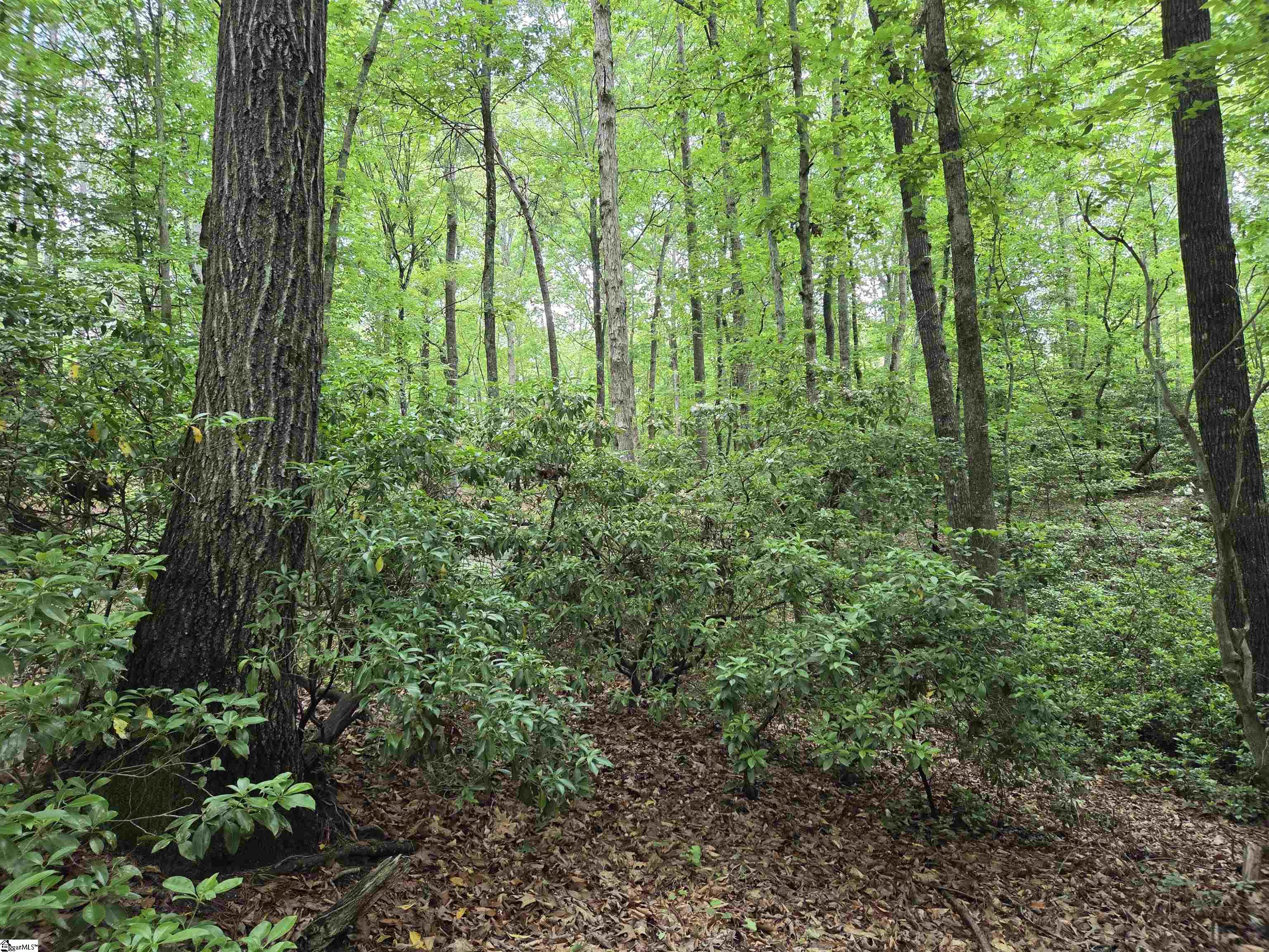 8 Belk Road Travelers Rest, SC 29690
