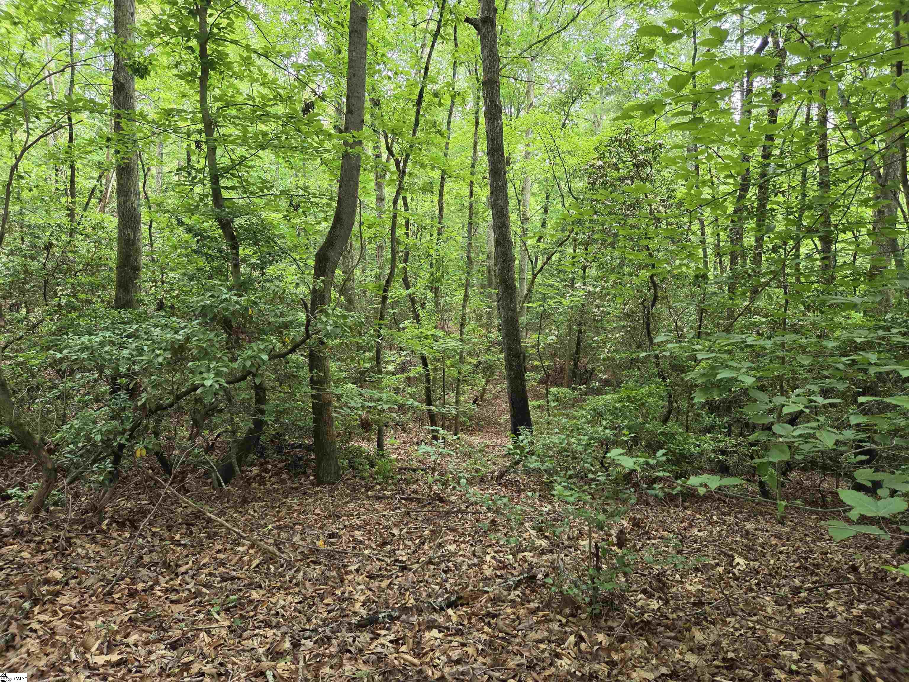8 Belk Road Travelers Rest, SC 29690