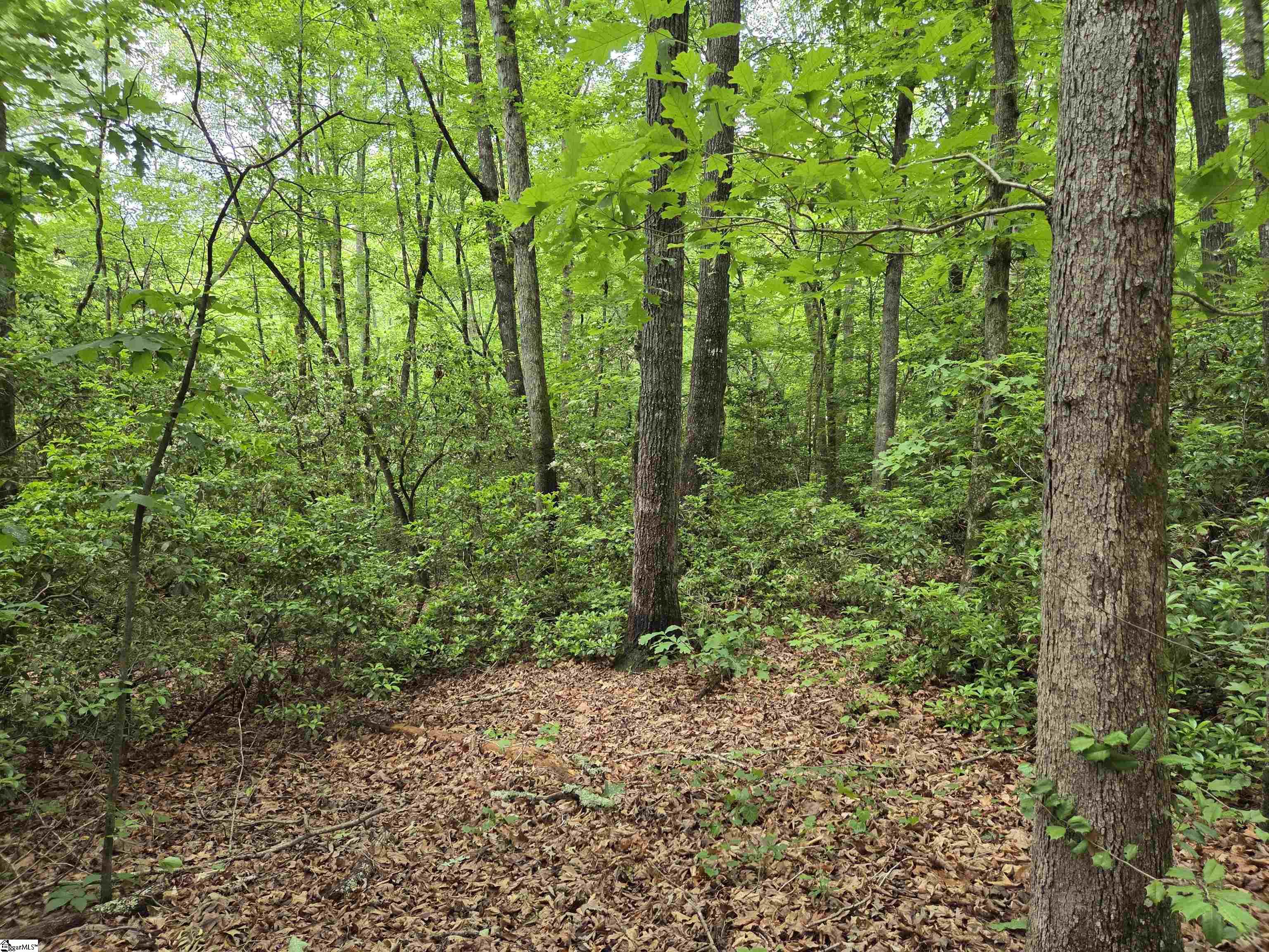8 Belk Road Travelers Rest, SC 29690
