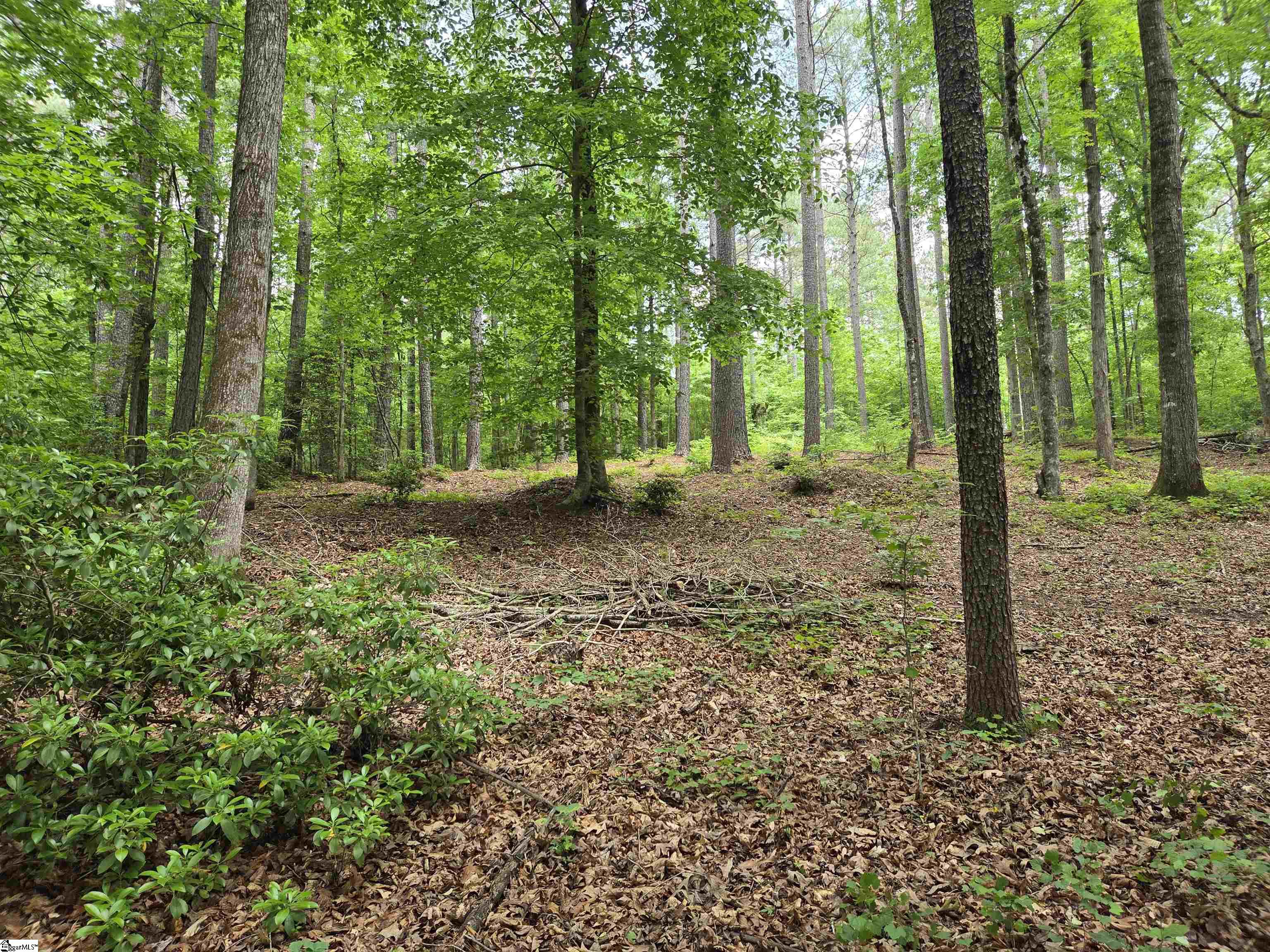 8 Belk Road Travelers Rest, SC 29690