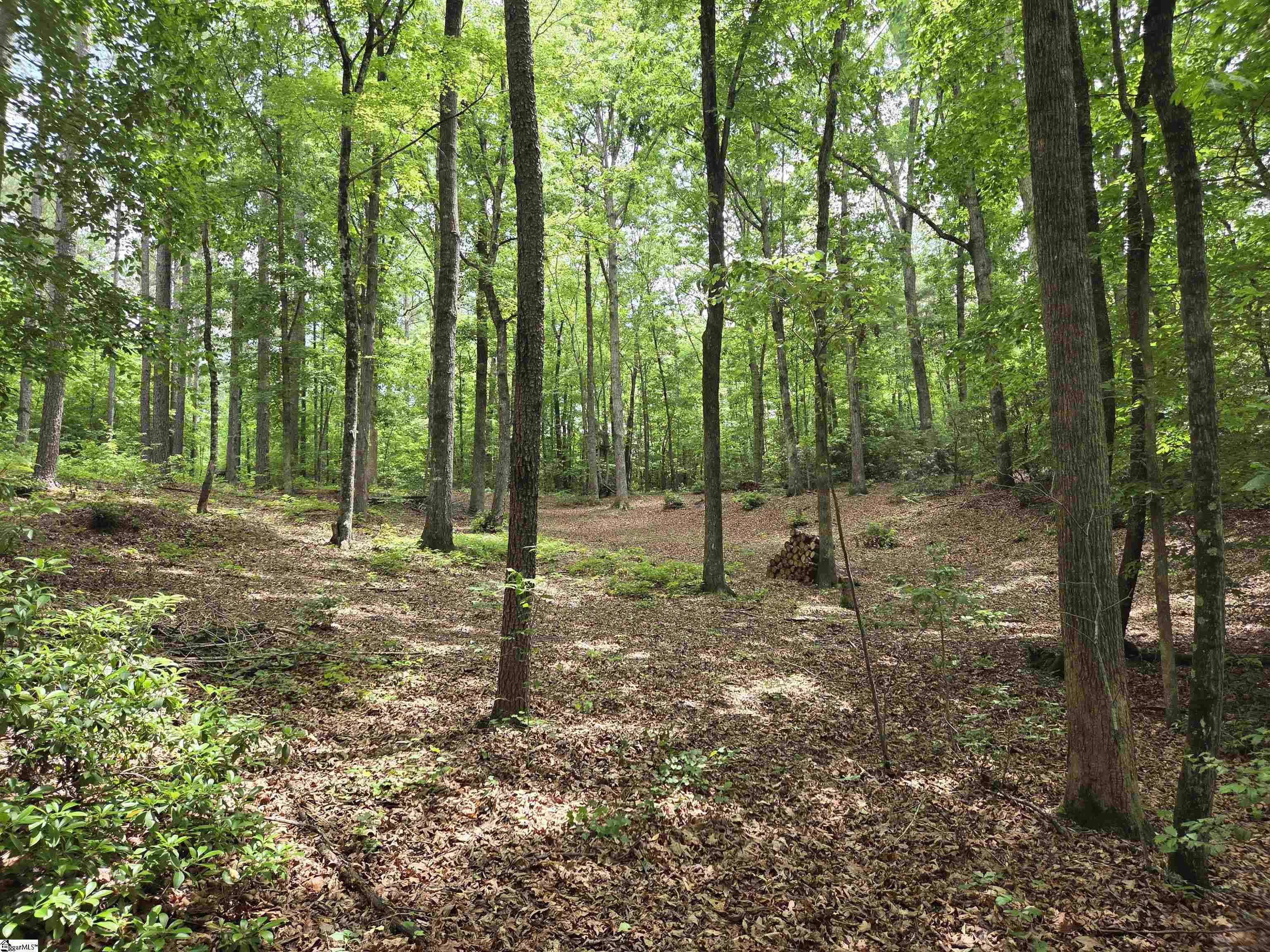 8 Belk Road Travelers Rest, SC 29690