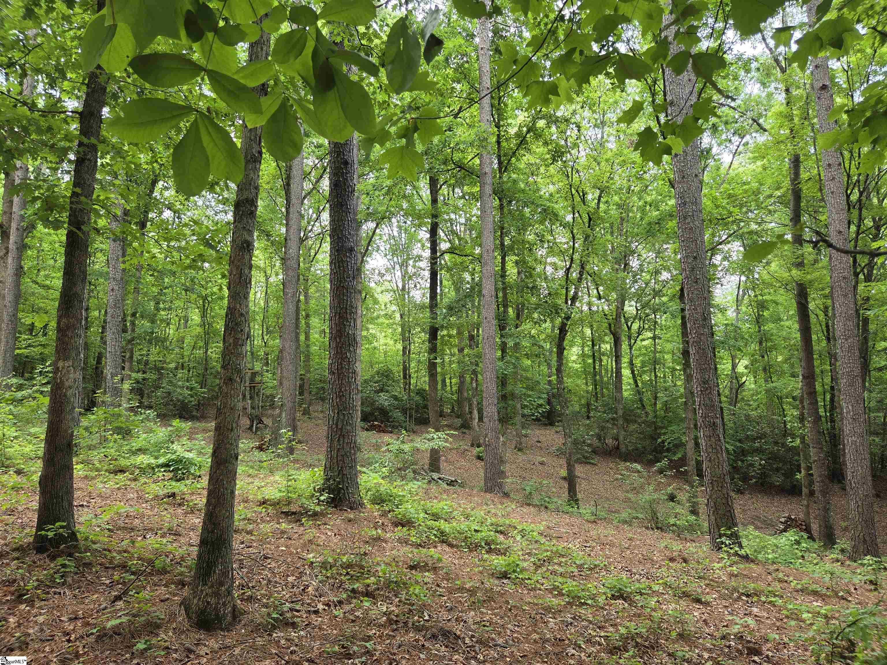 8 Belk Road Travelers Rest, SC 29690