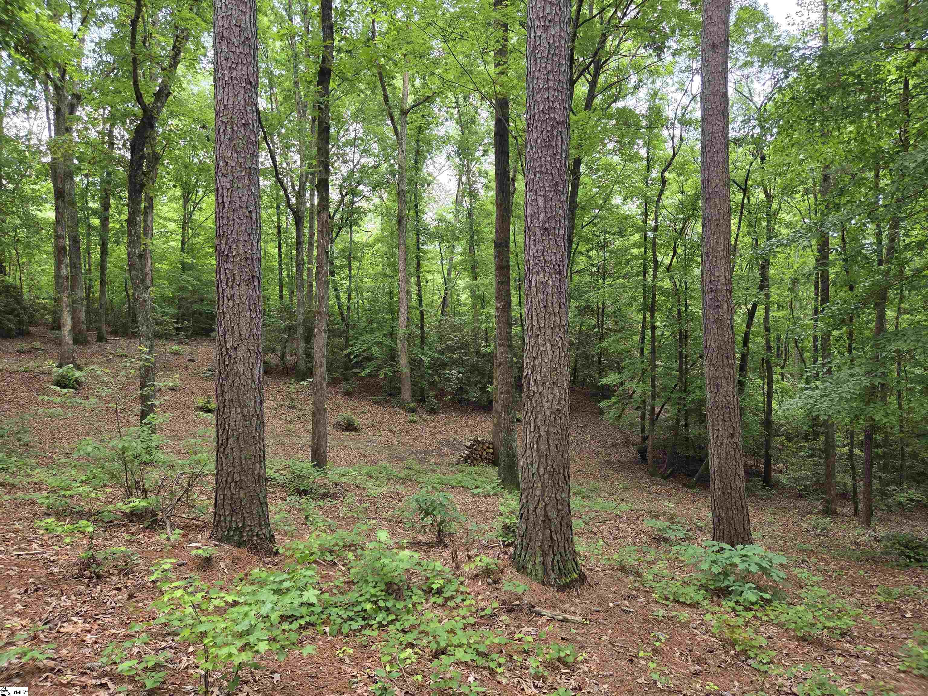 8 Belk Road Travelers Rest, SC 29690