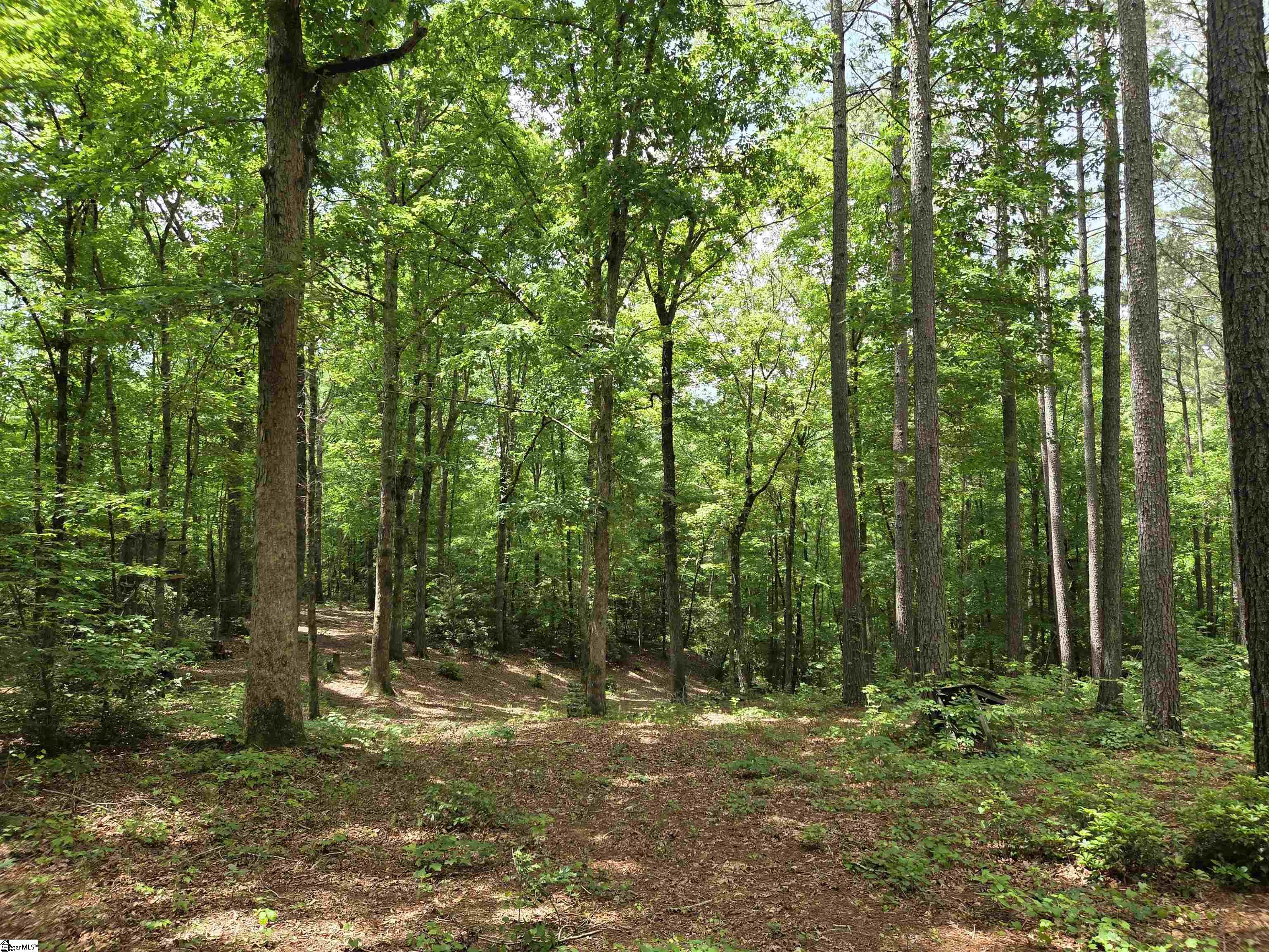 8 Belk Road Travelers Rest, SC 29690