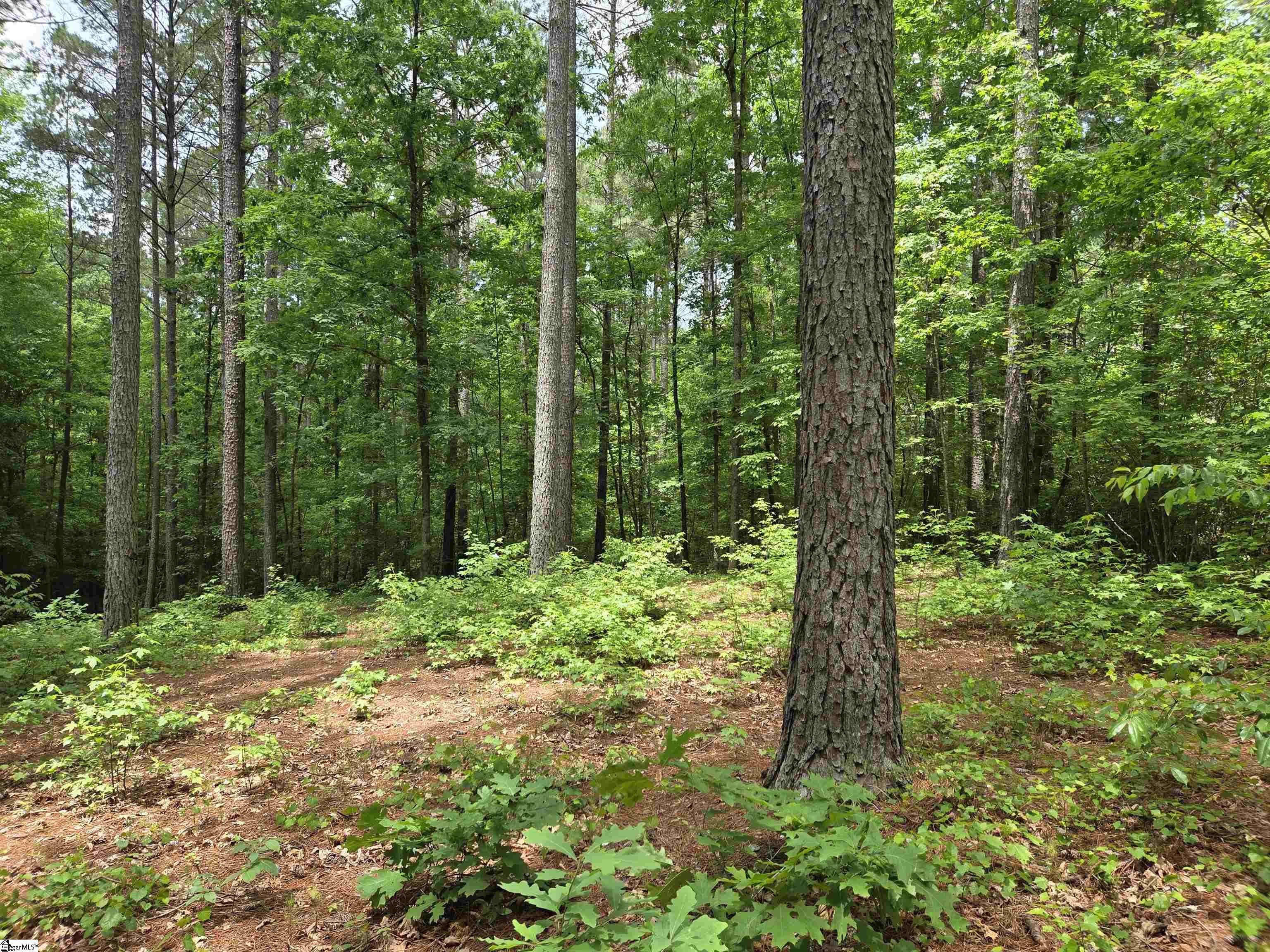 8 Belk Road Travelers Rest, SC 29690