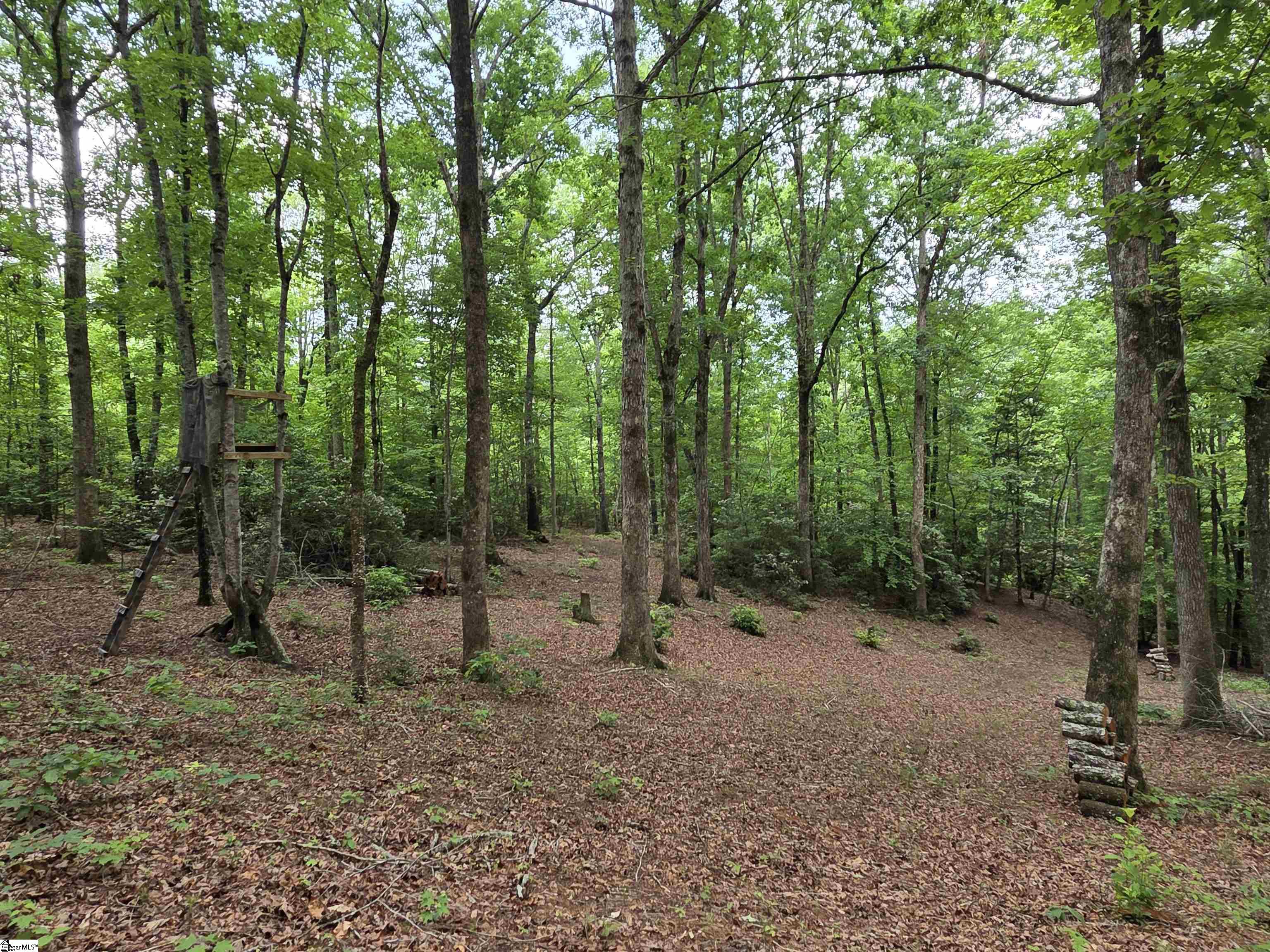 8 Belk Road Travelers Rest, SC 29690