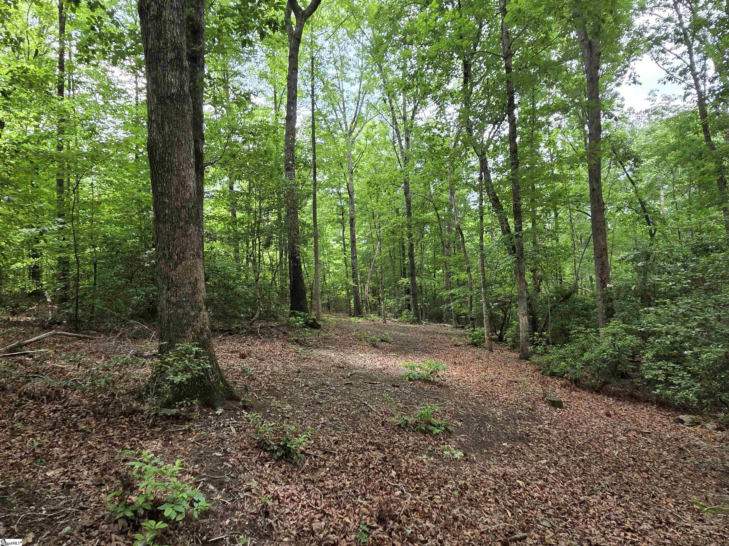 8 Belk Road Travelers Rest, SC 29690