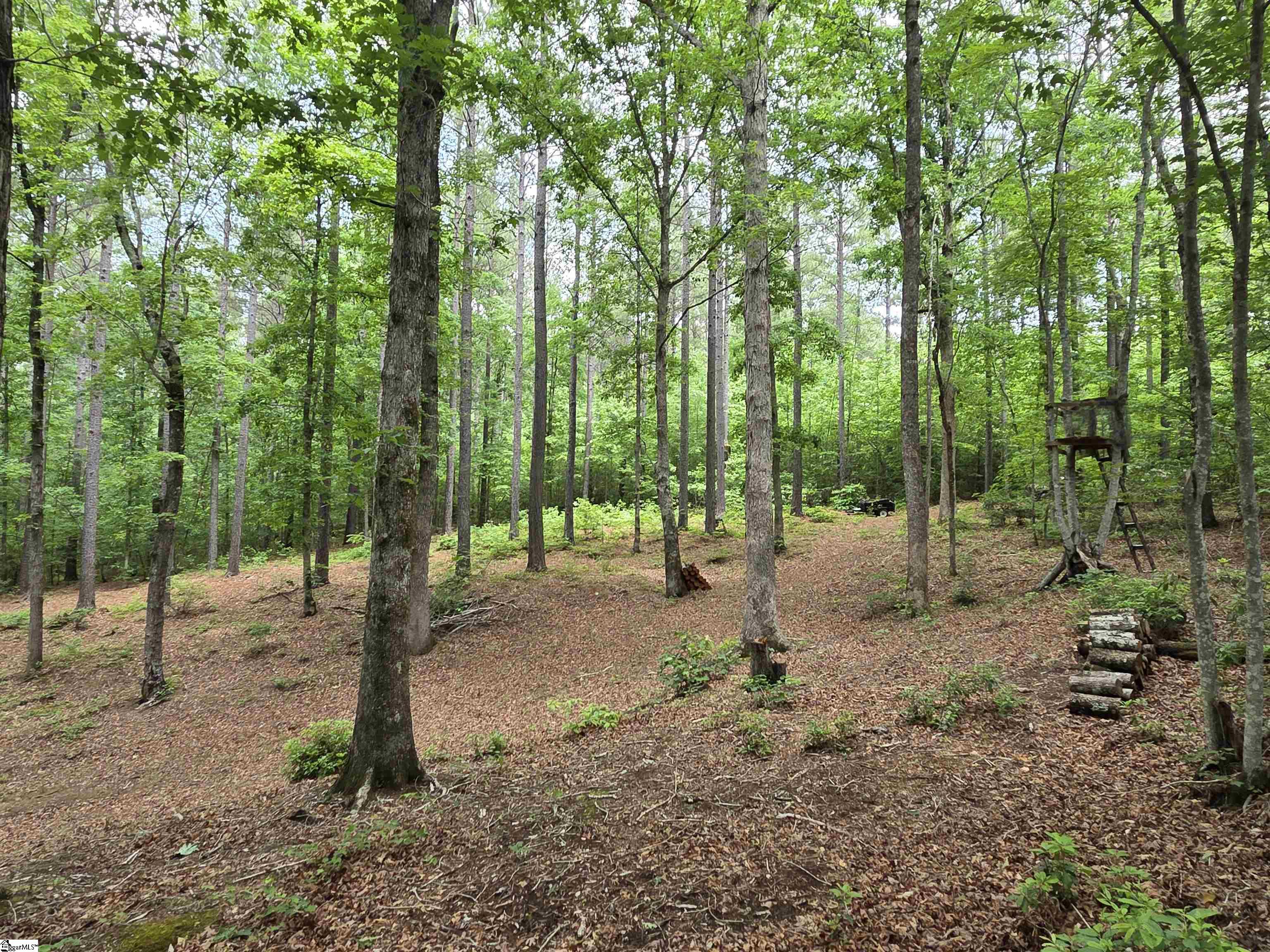 8 Belk Road Travelers Rest, SC 29690