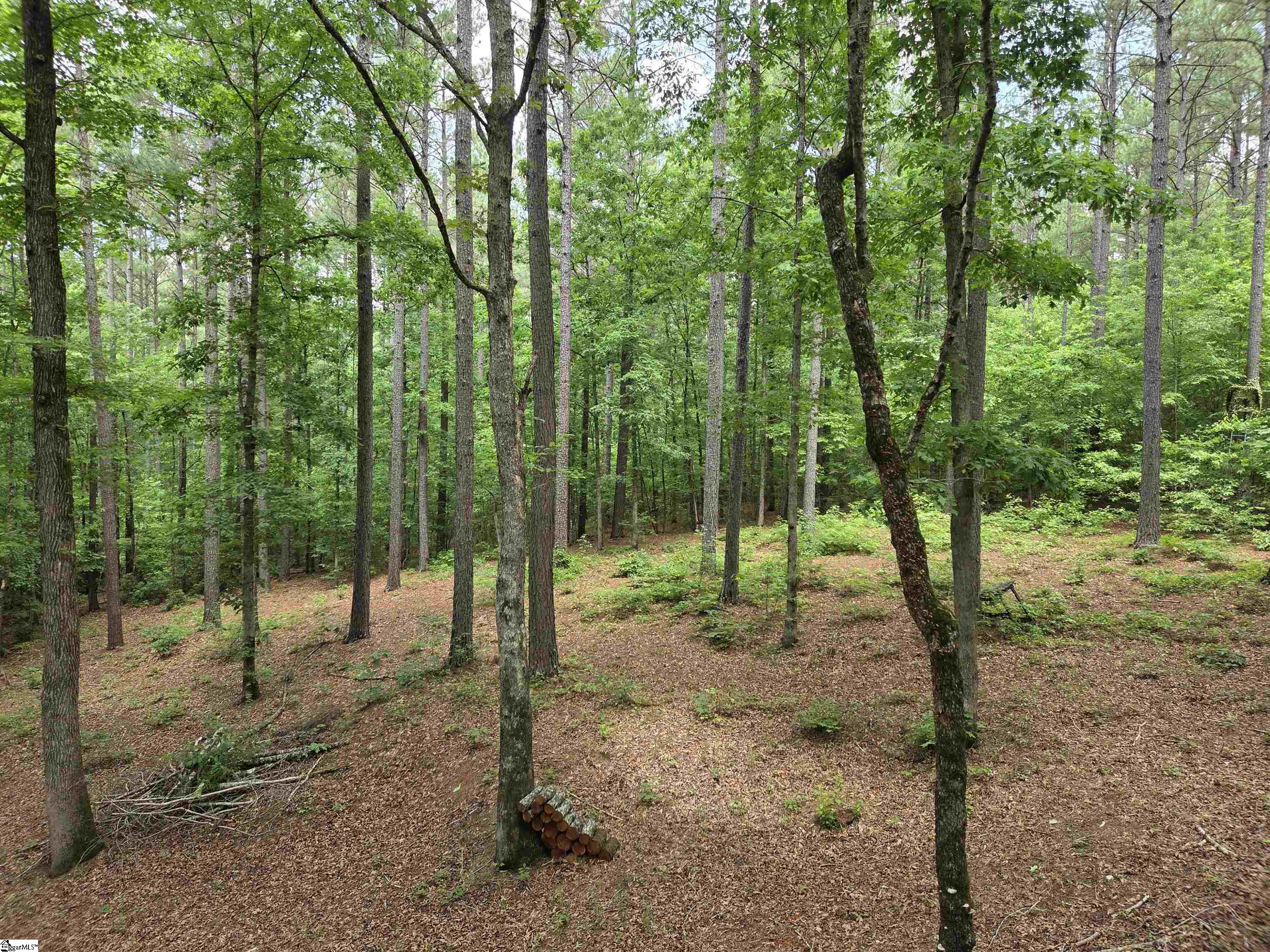 8 Belk Road Travelers Rest, SC 29690