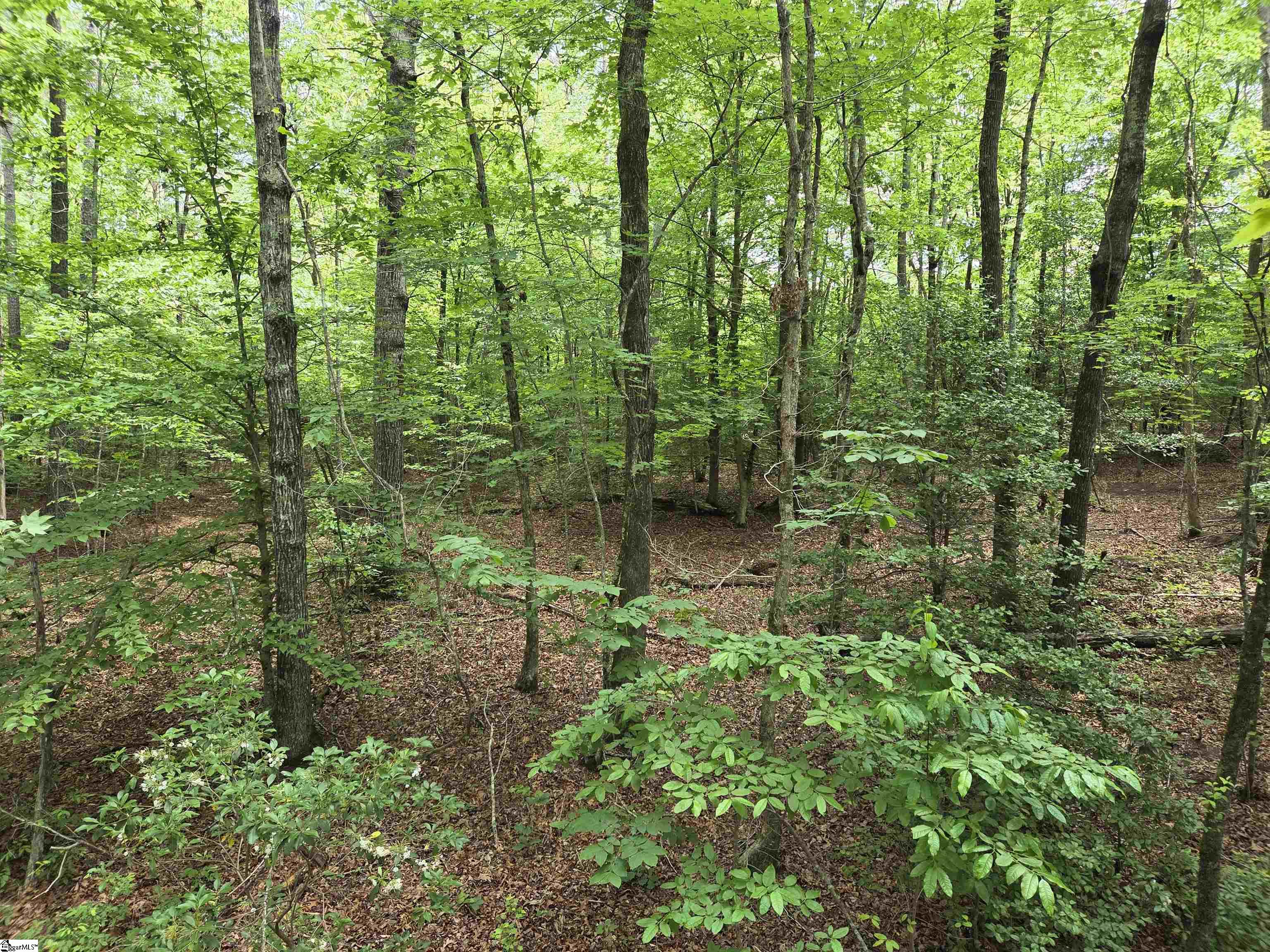 8 Belk Road Travelers Rest, SC 29690