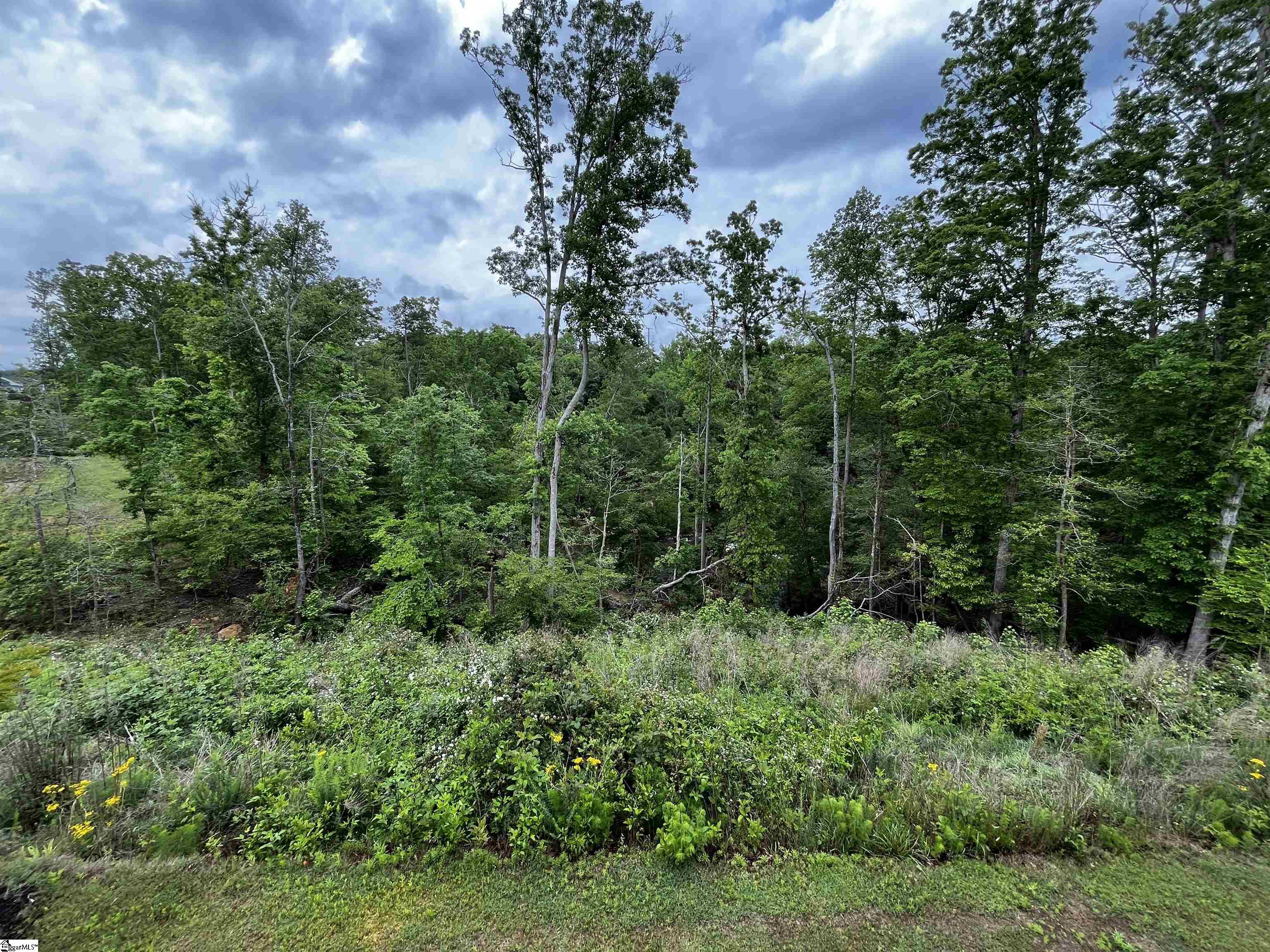 113 Comanche Trail Greenville, SC 29607