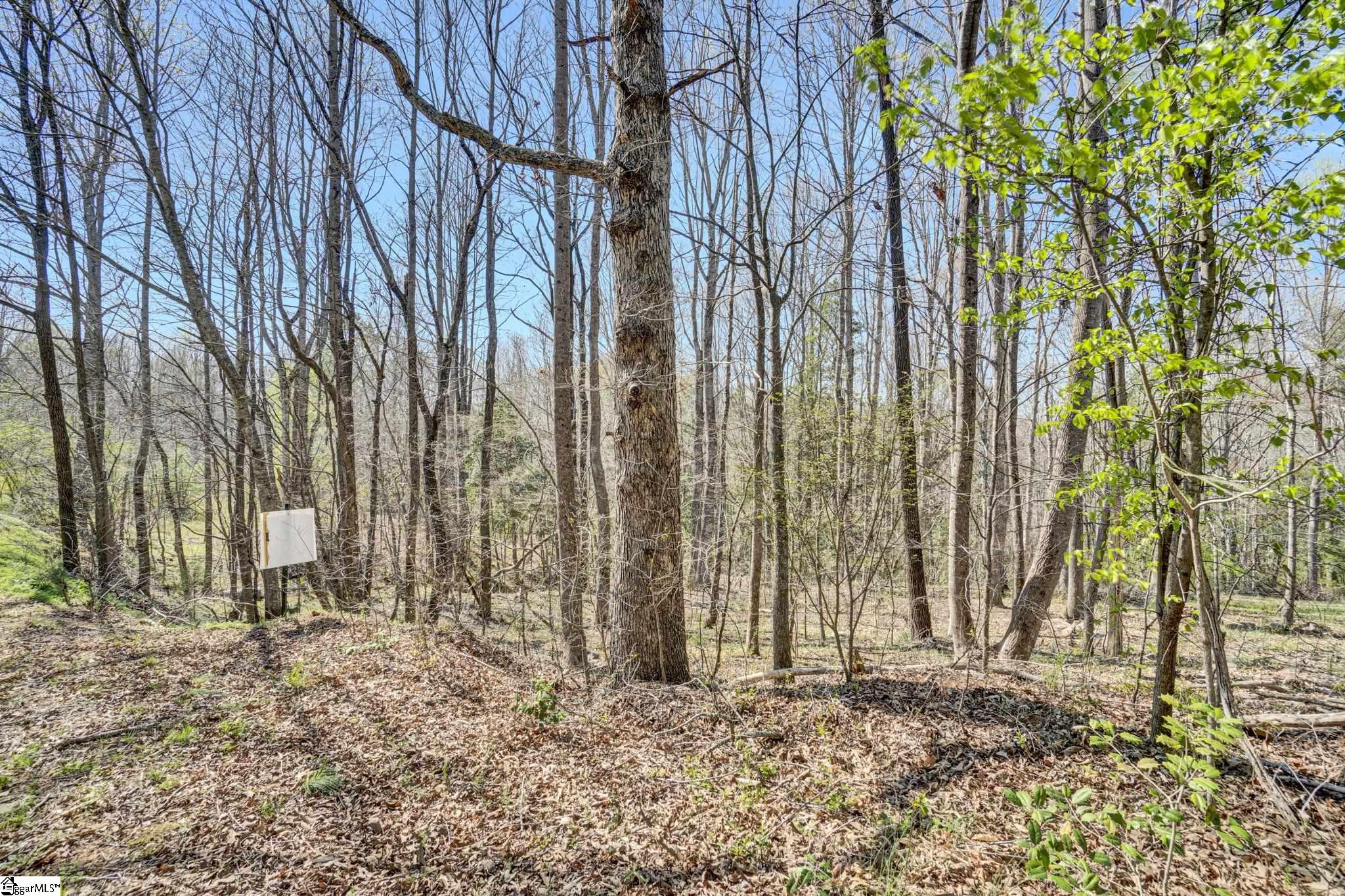 404 Thornbury Ridge Easley, SC 29640