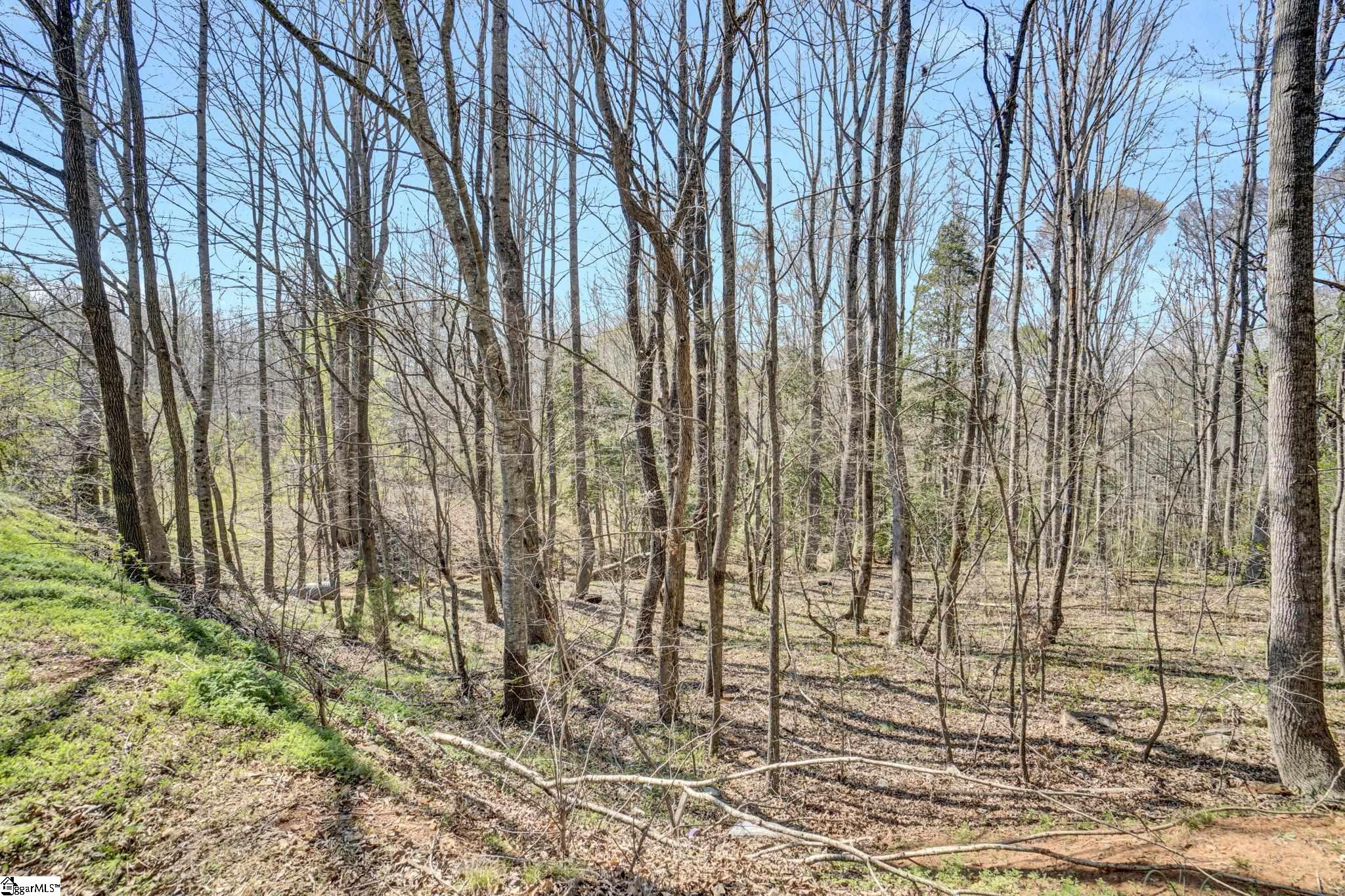 404 Thornbury Ridge Easley, SC 29640