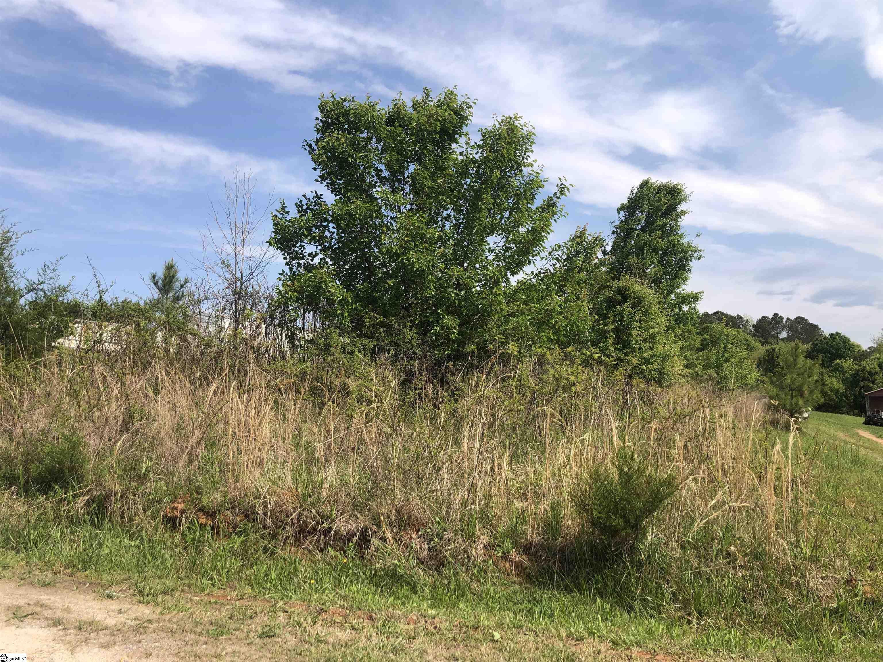Jamyn Road Cowpens, SC 29330